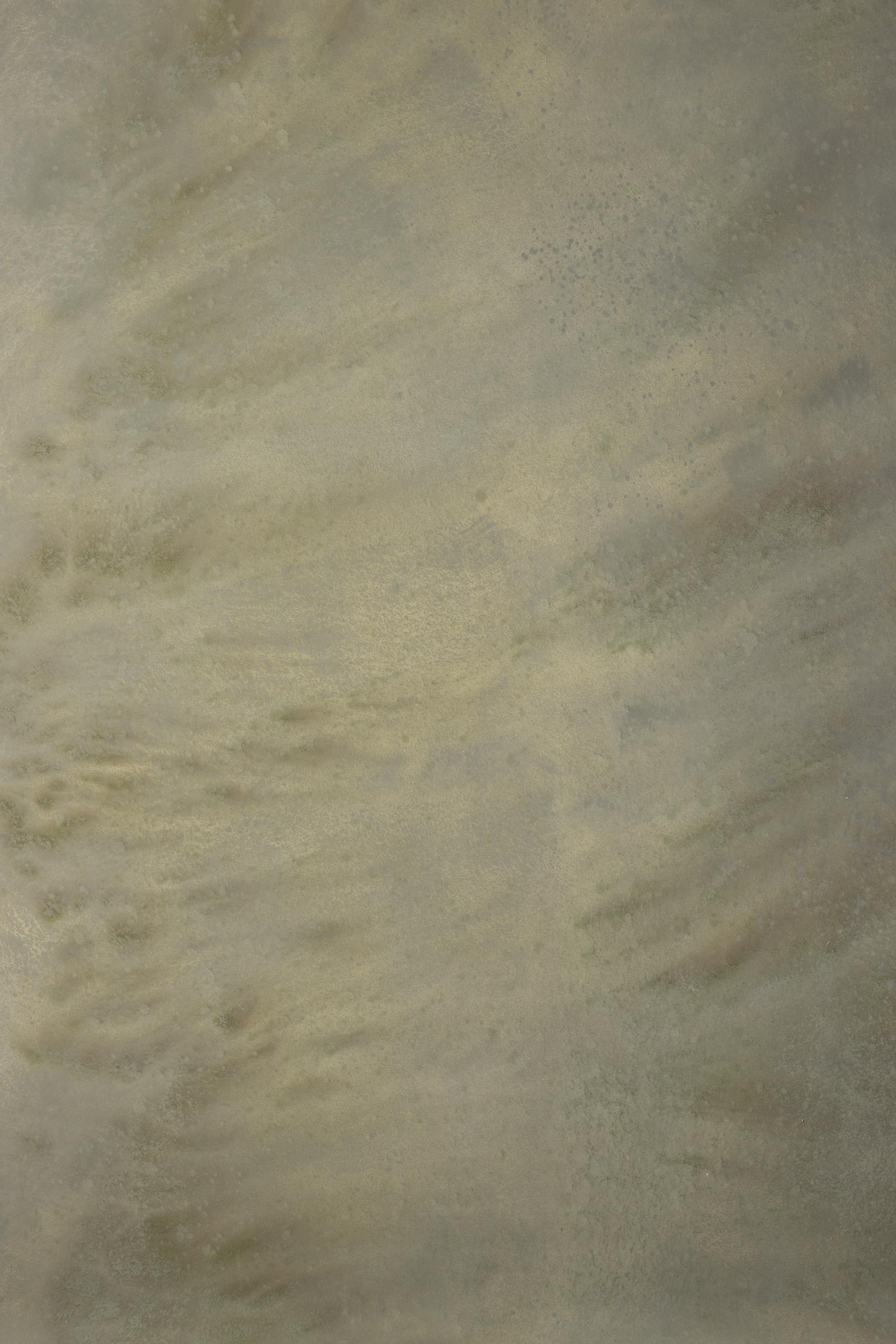 Pale Oyster Painted Canvas Backdrop (RN#237)