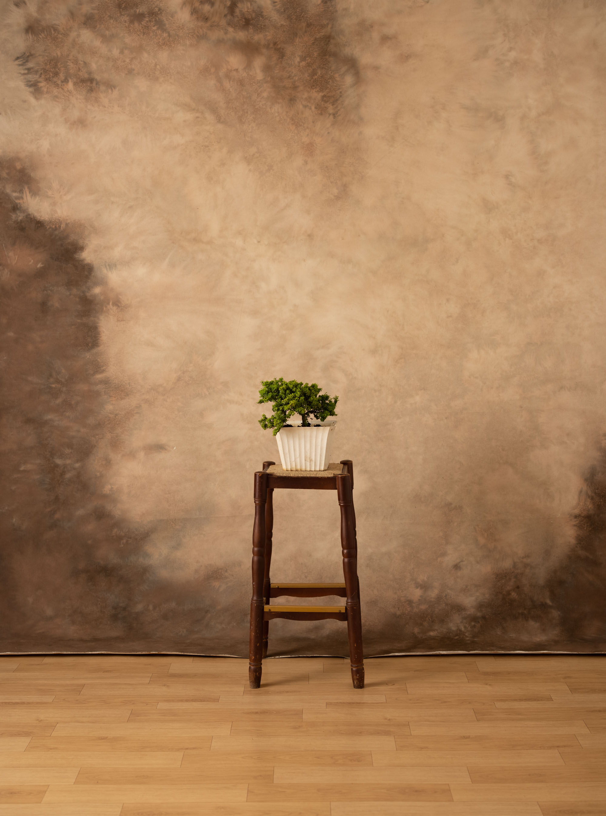 Brown Batter Painted Canvas Backdrop (RN#331) view 2