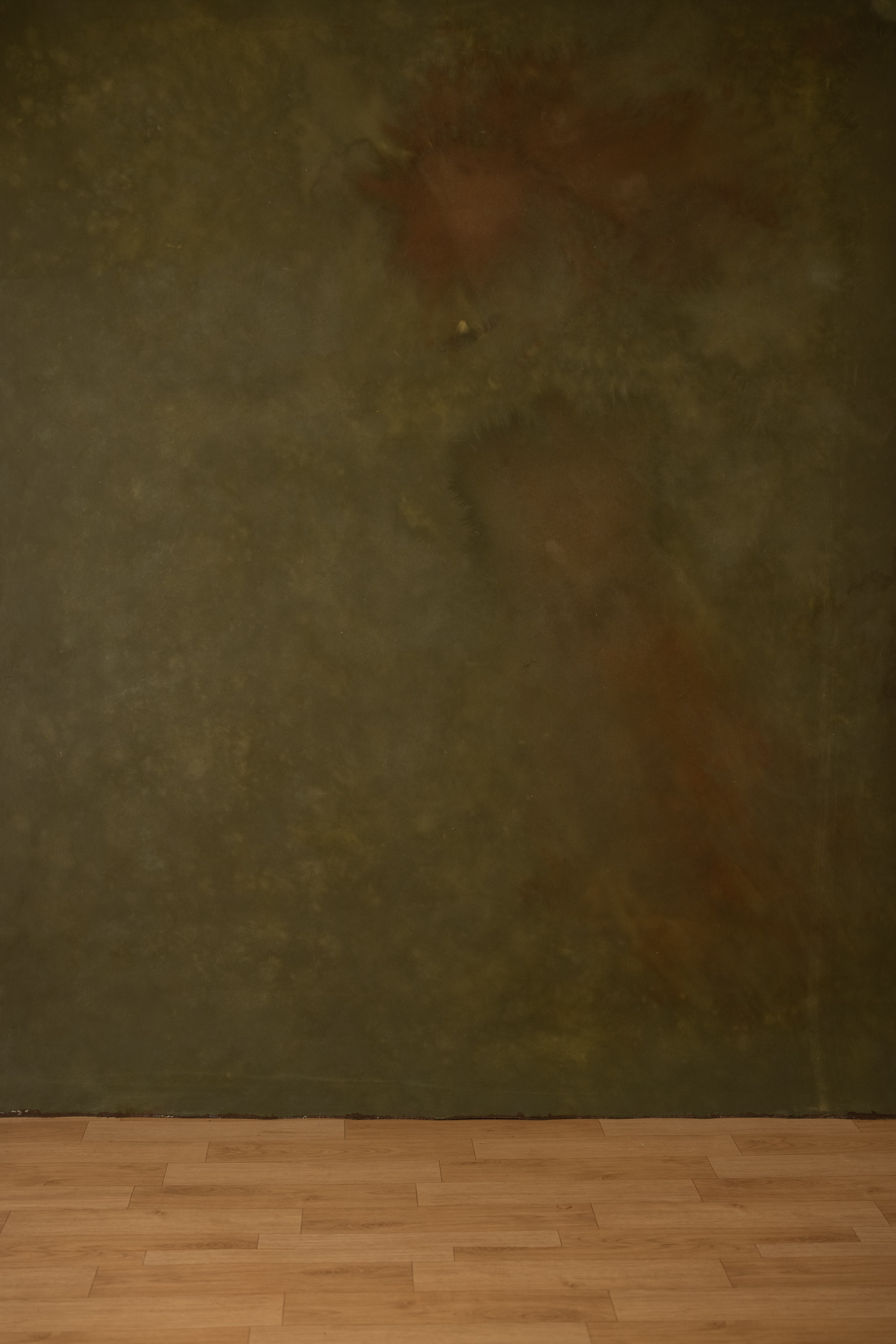 Red Head Green Painted Canvas Backdrop (RN#319)