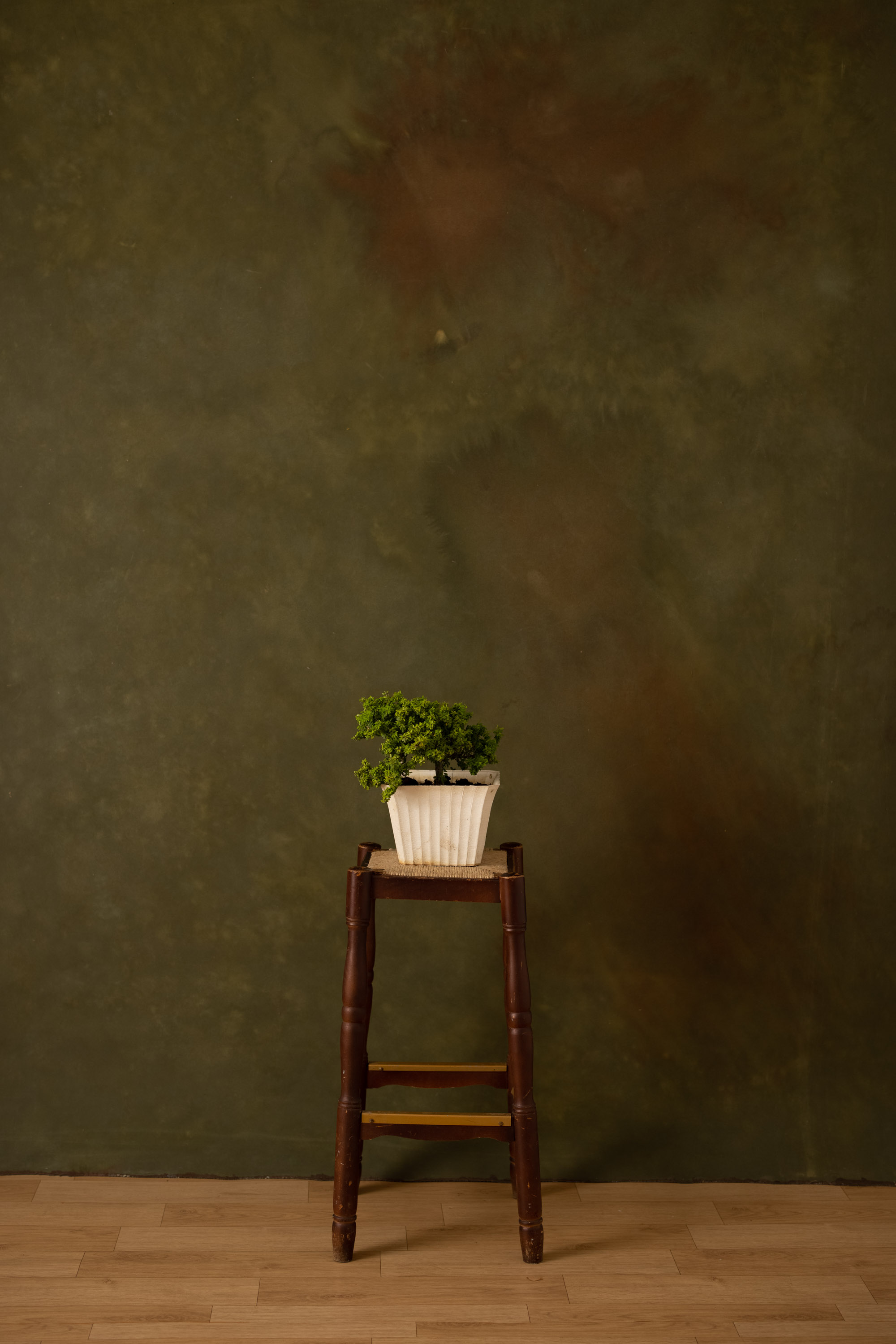 Red Head Green Painted Canvas Backdrop (RN#319) view 3
