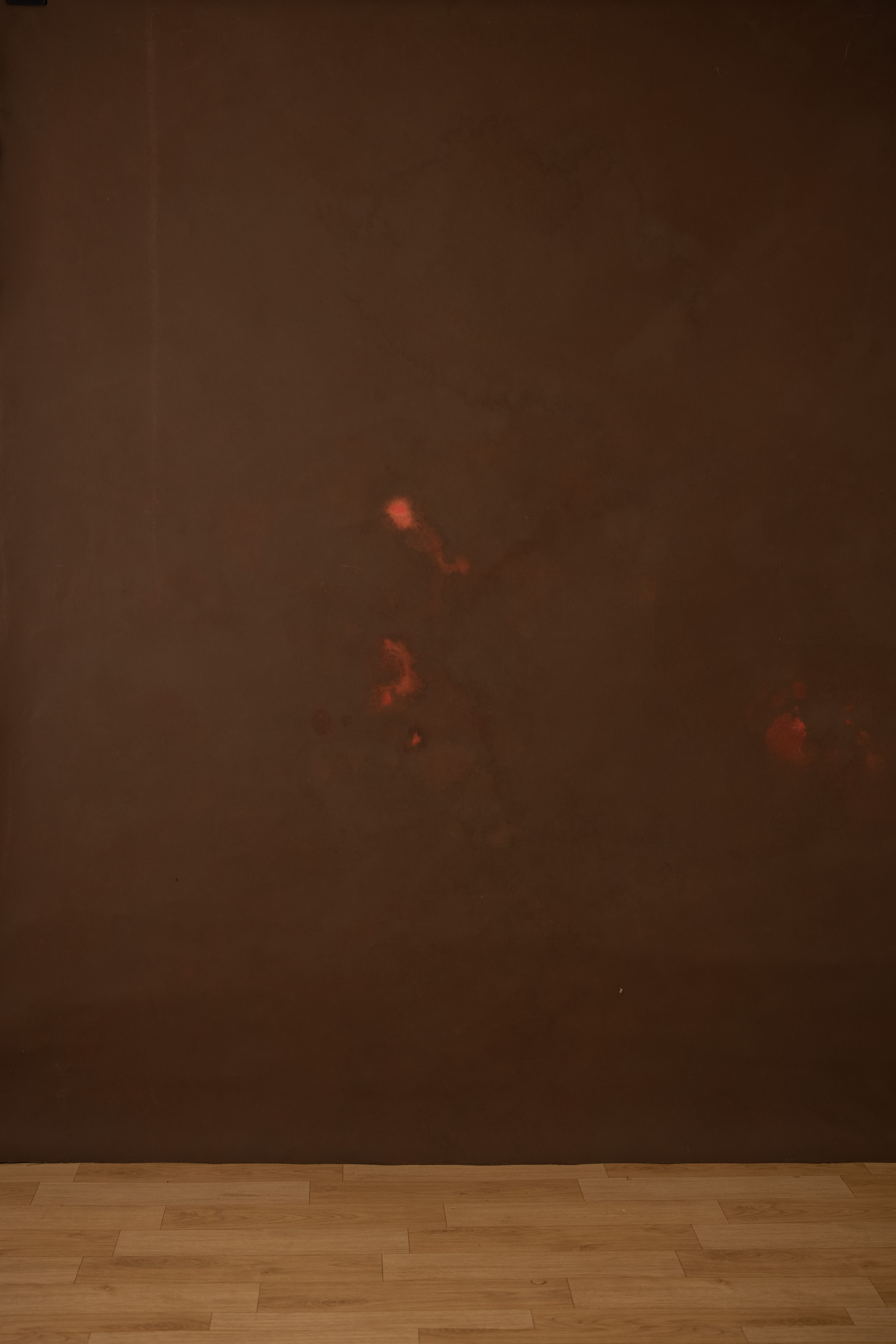 Red Head Green Painted Canvas Backdrop (RN#319) view 5