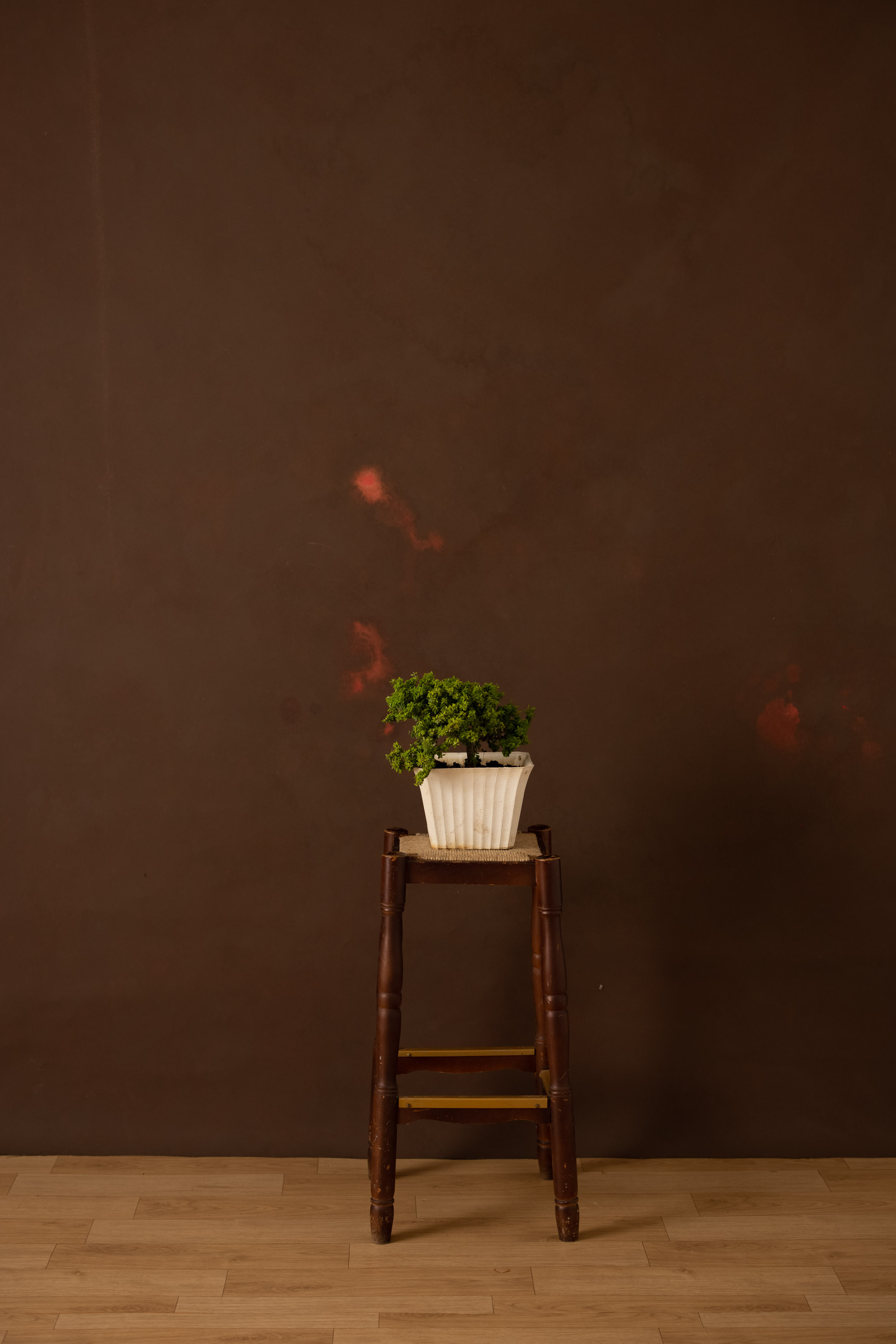 Red Head Green Painted Canvas Backdrop (RN#319) view 7