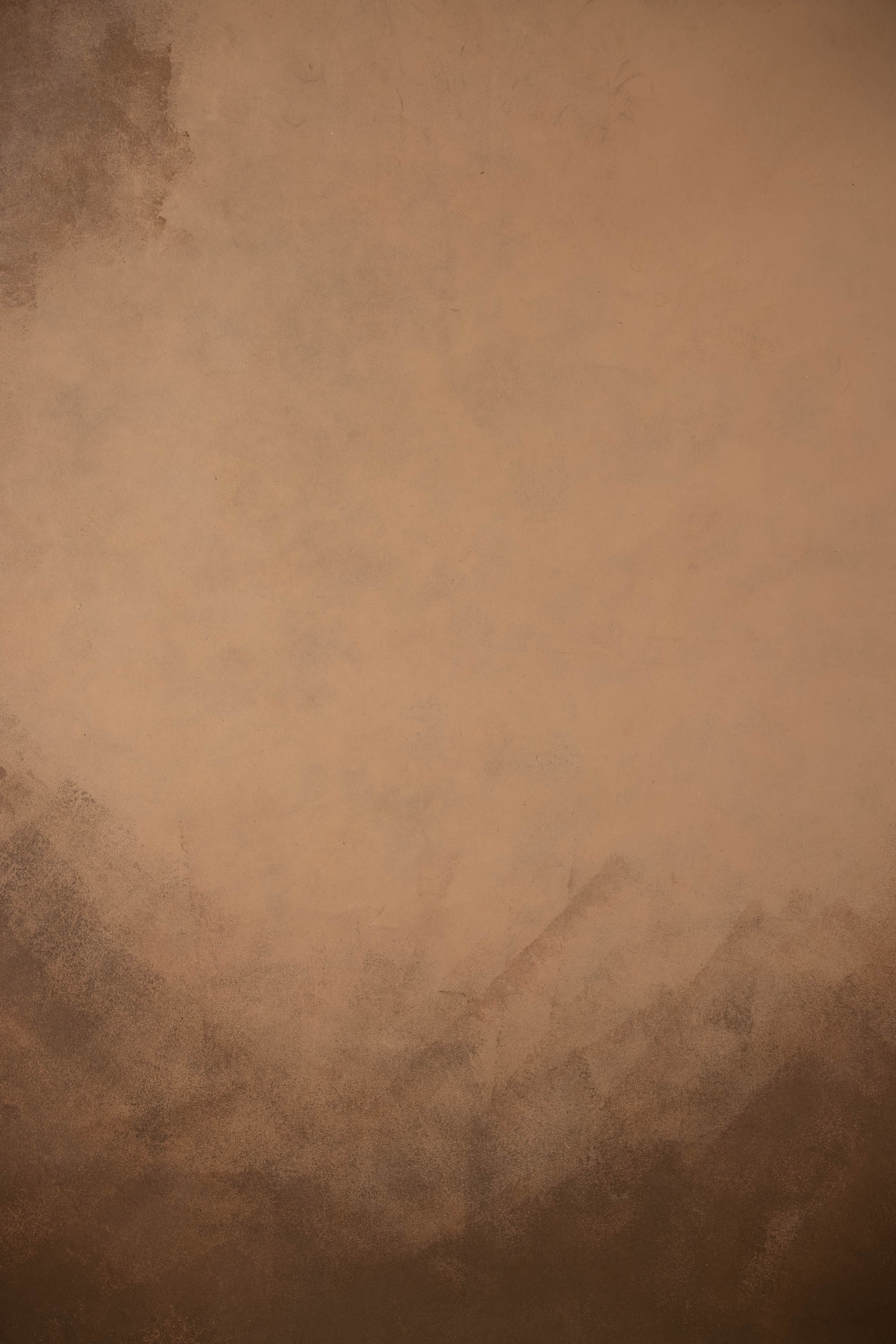 Forest Gump and Mocca Painted Canvas Backdrop (RN#320) view 2