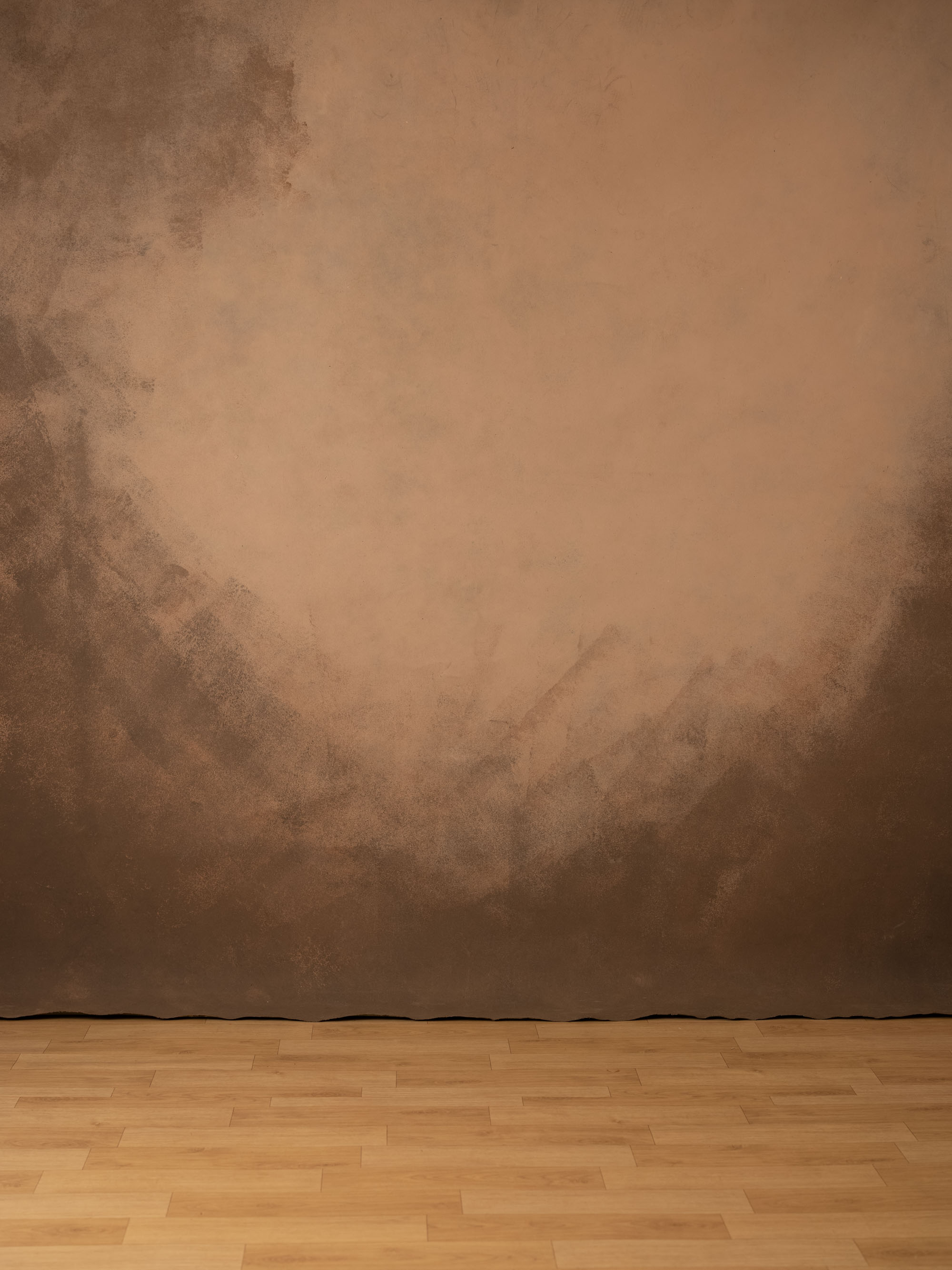 Forest Gump and Mocca Painted Canvas Backdrop (RN#320) view 3