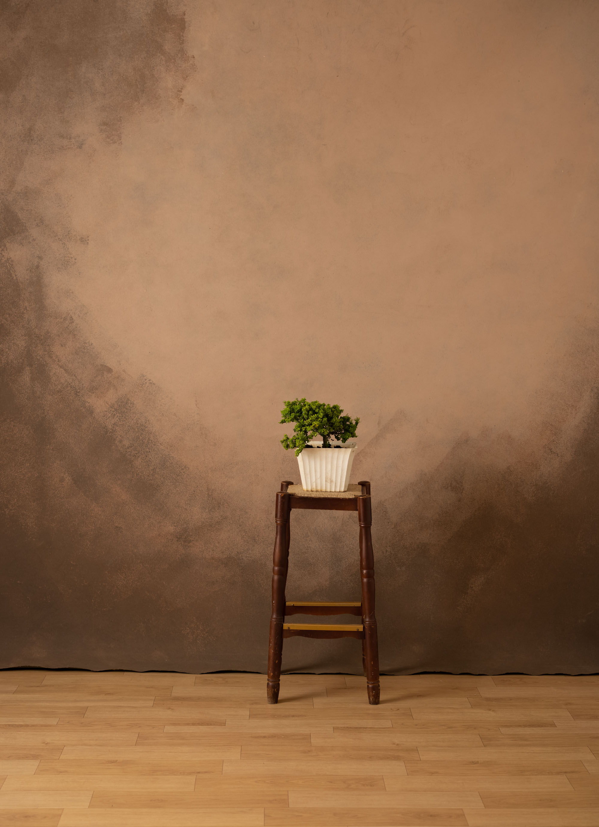 Forest Gump and Mocca Painted Canvas Backdrop (RN#320) view 4