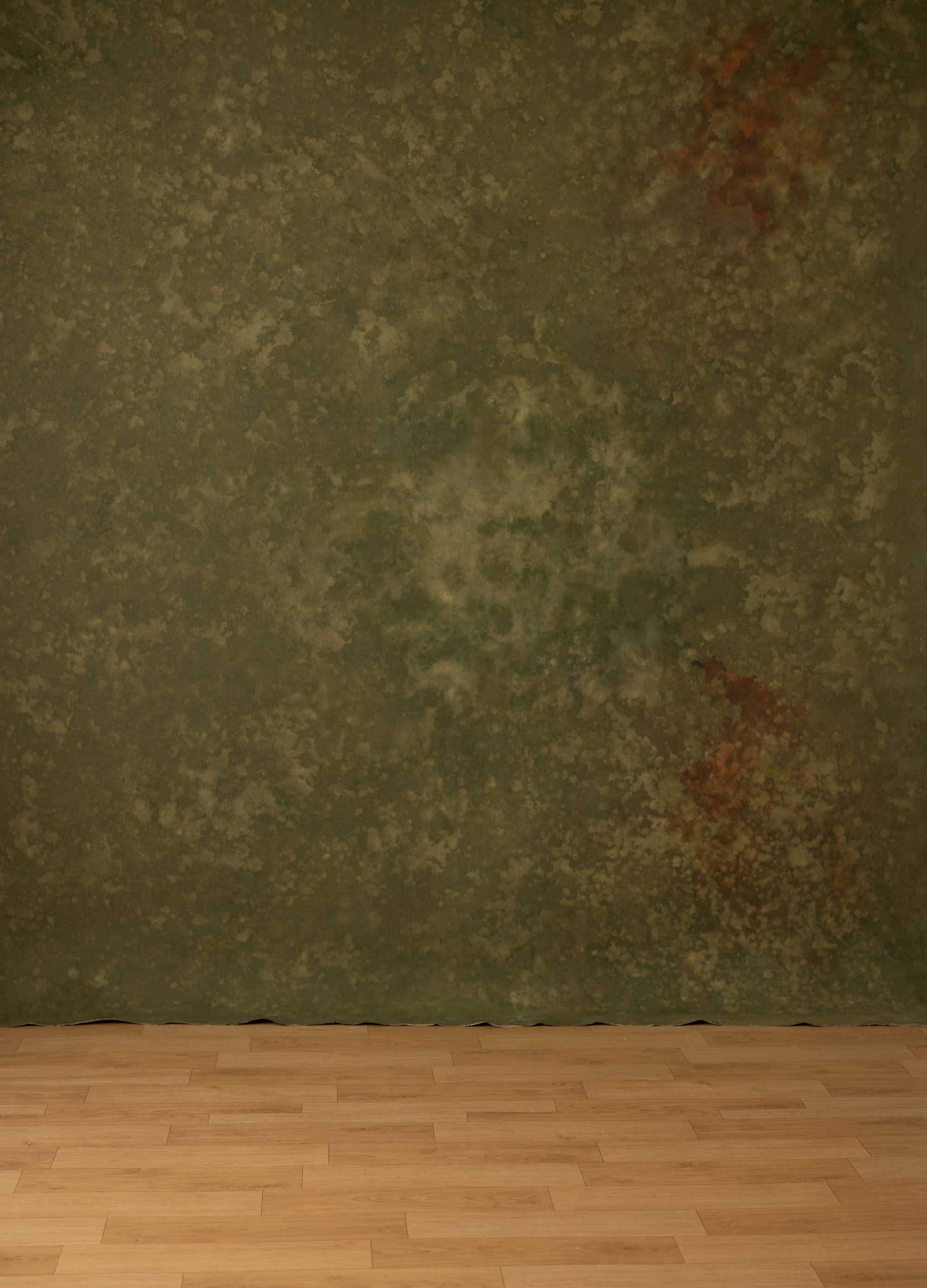 Forest Gump and Mocca Painted Canvas Backdrop (RN#320) view 6