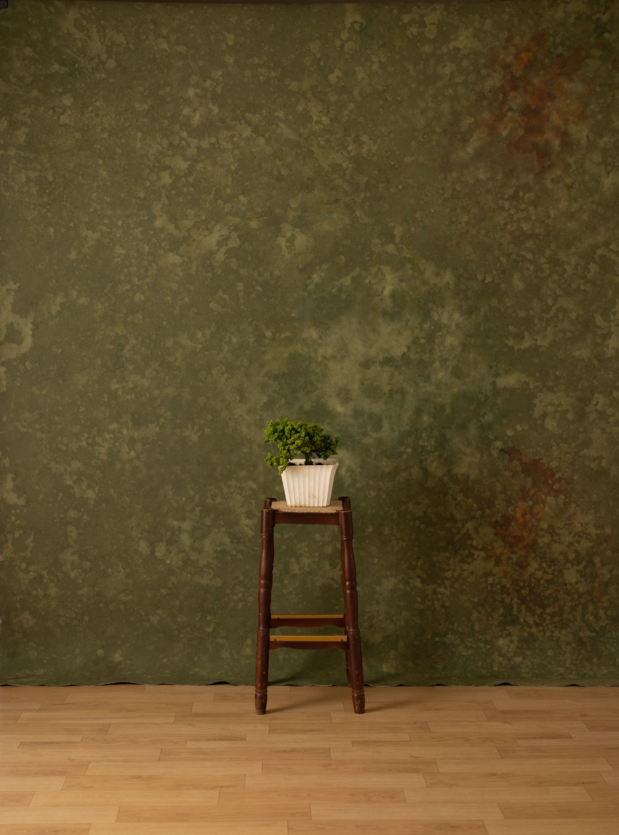 Forest Gump and Mocca Painted Canvas Backdrop (RN#320) view 7