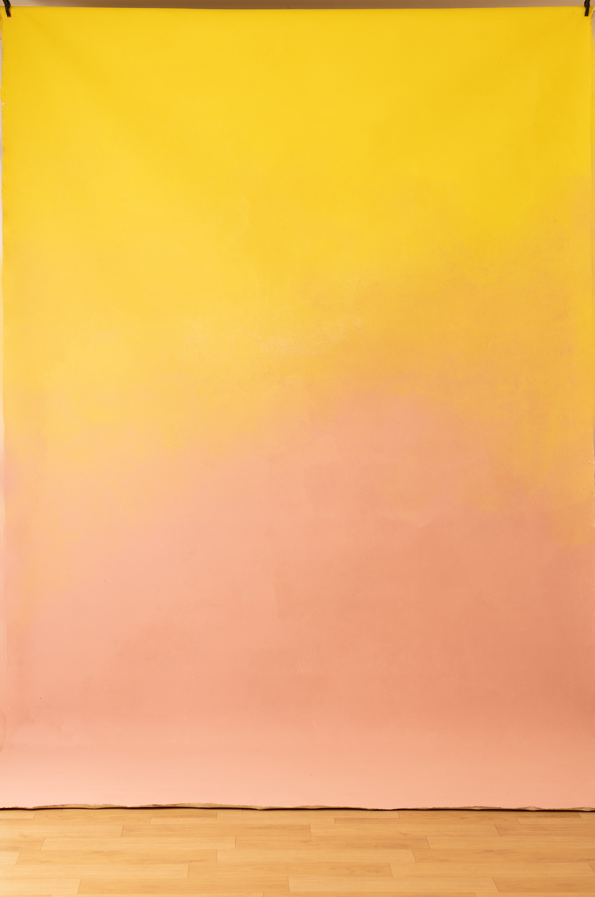Pinky Yellow Painted Canvas Backdrop (RN#305) view 2