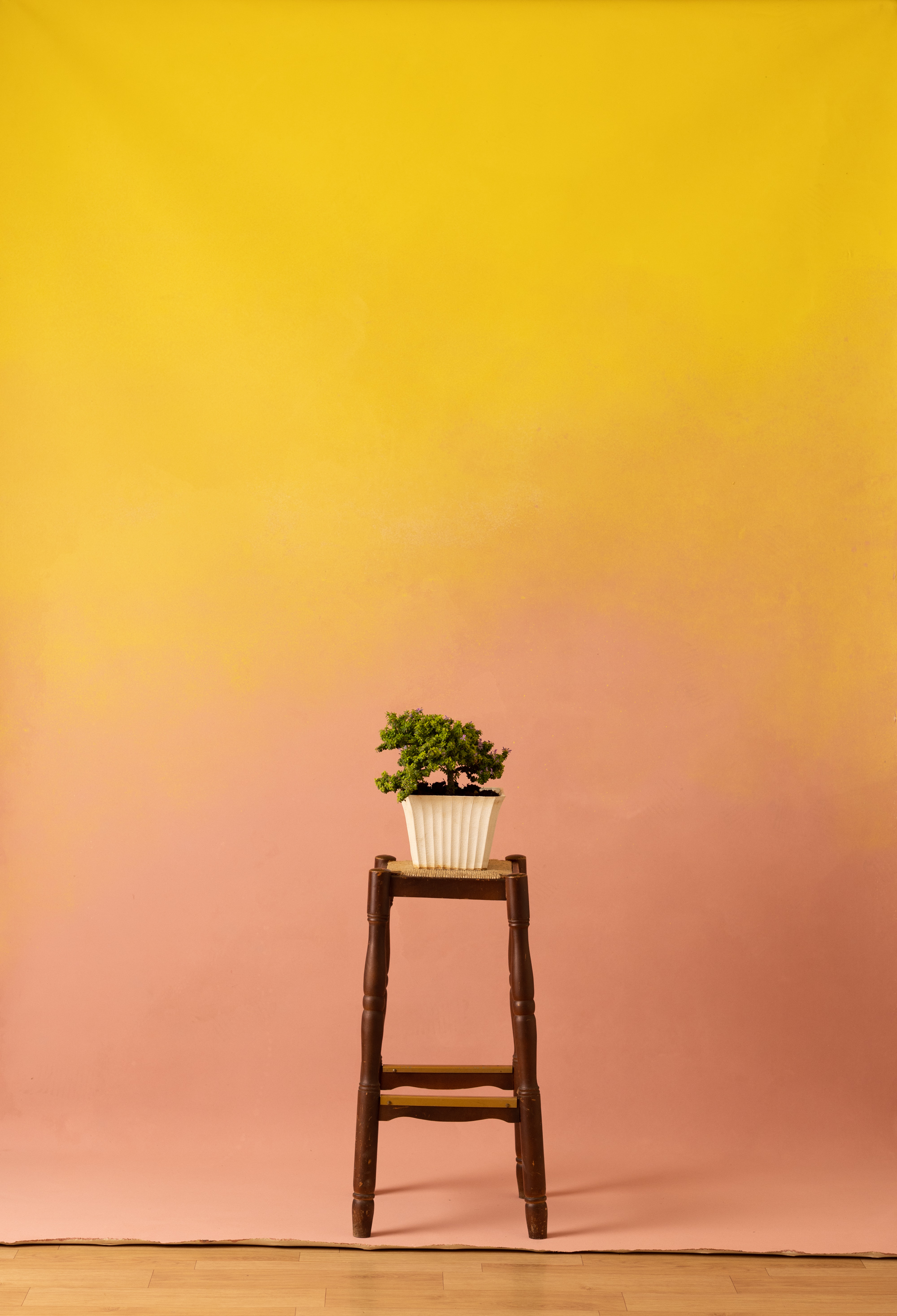 Pinky Yellow Painted Canvas Backdrop (RN#305) view 3