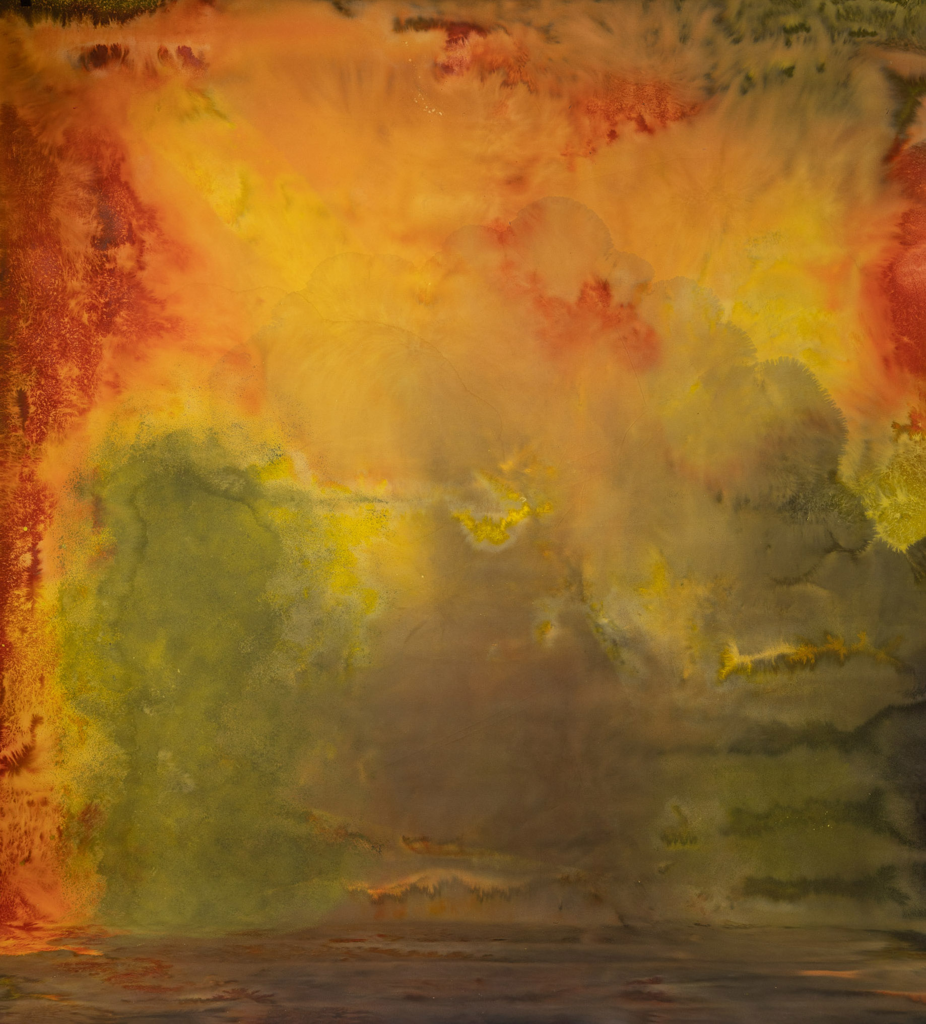 Tiger Eye Painted Canvas Backdrop (RN#269)