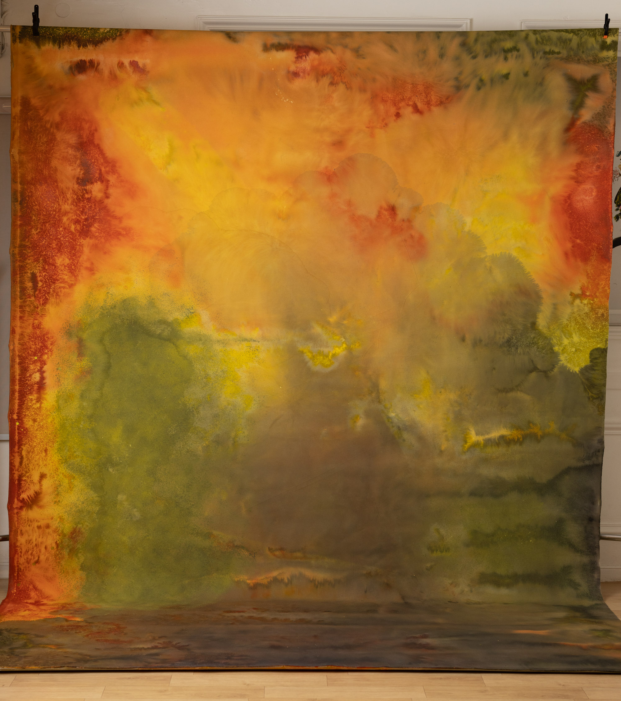 Tiger Eye Painted Canvas Backdrop (RN#269) view 2