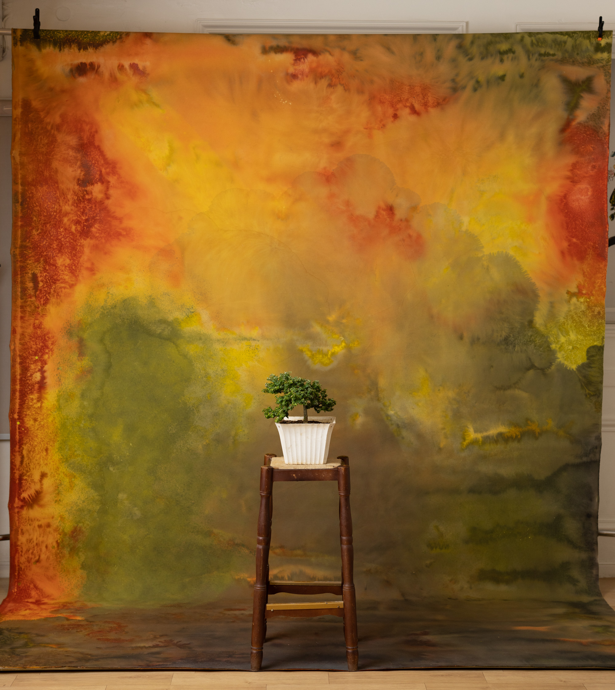 Tiger Eye Painted Canvas Backdrop (RN#269) view 3