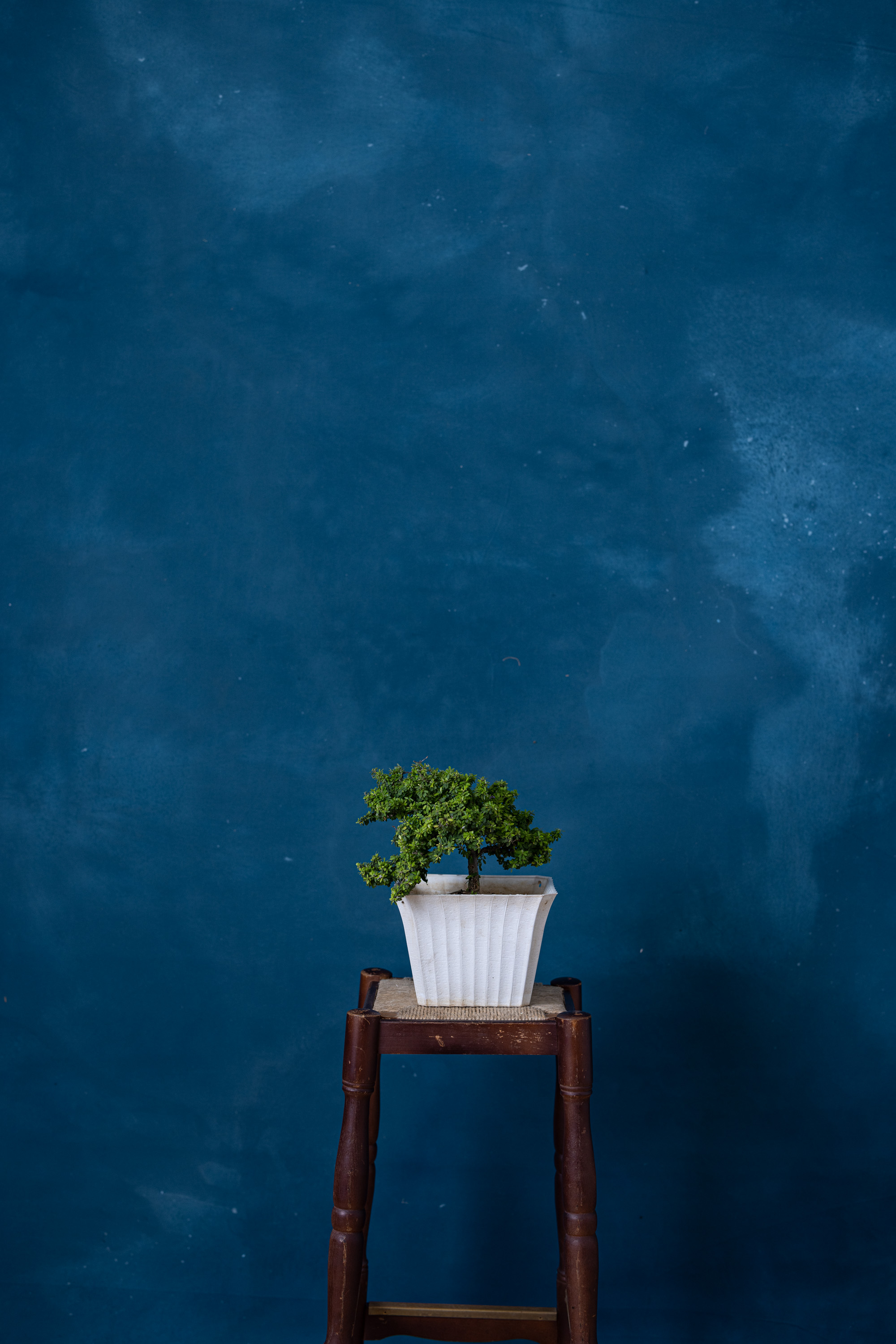 Tuna Blue Painted Canvas Backdrop (RN#278) view 5