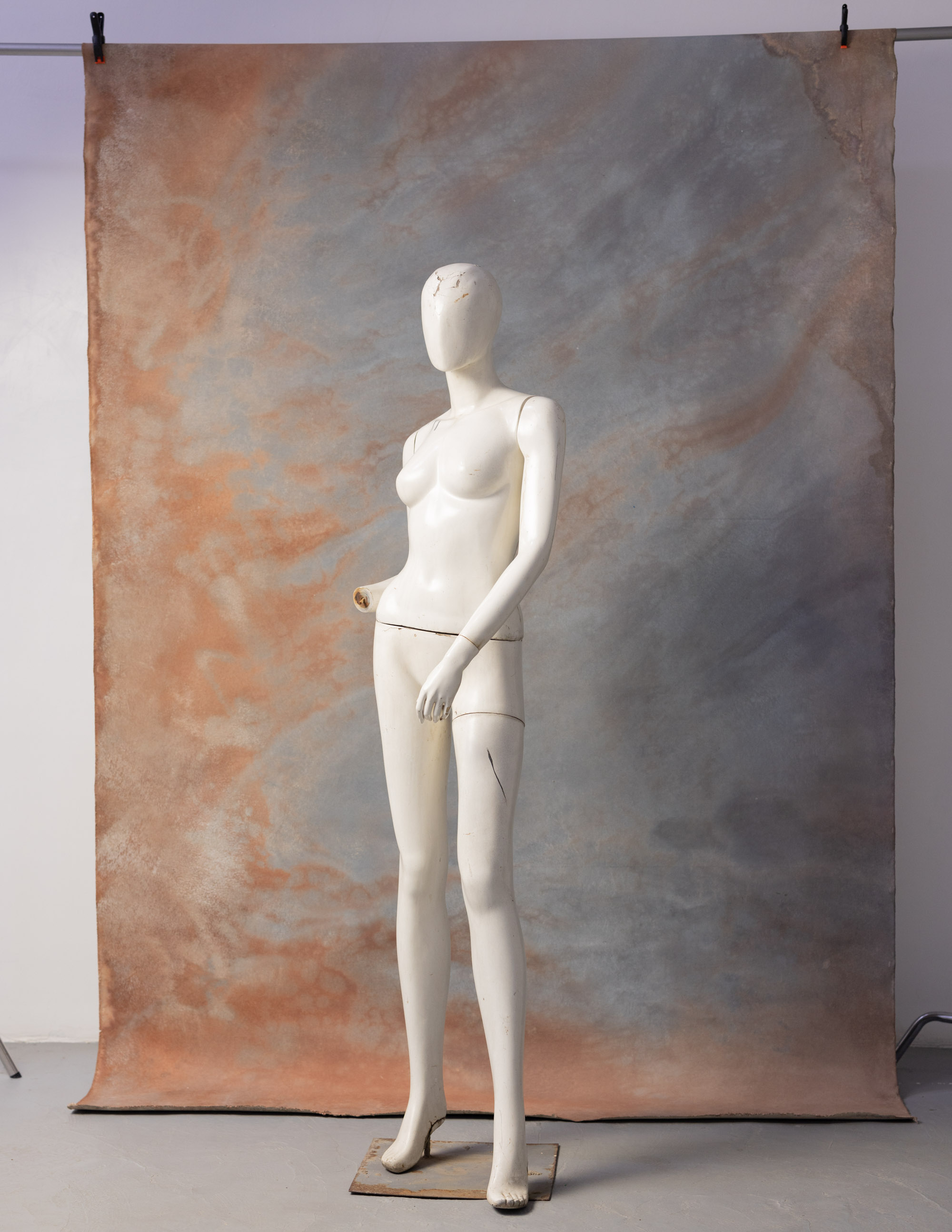 Venus Painted Canvas Backdrop (SL#225) view 4