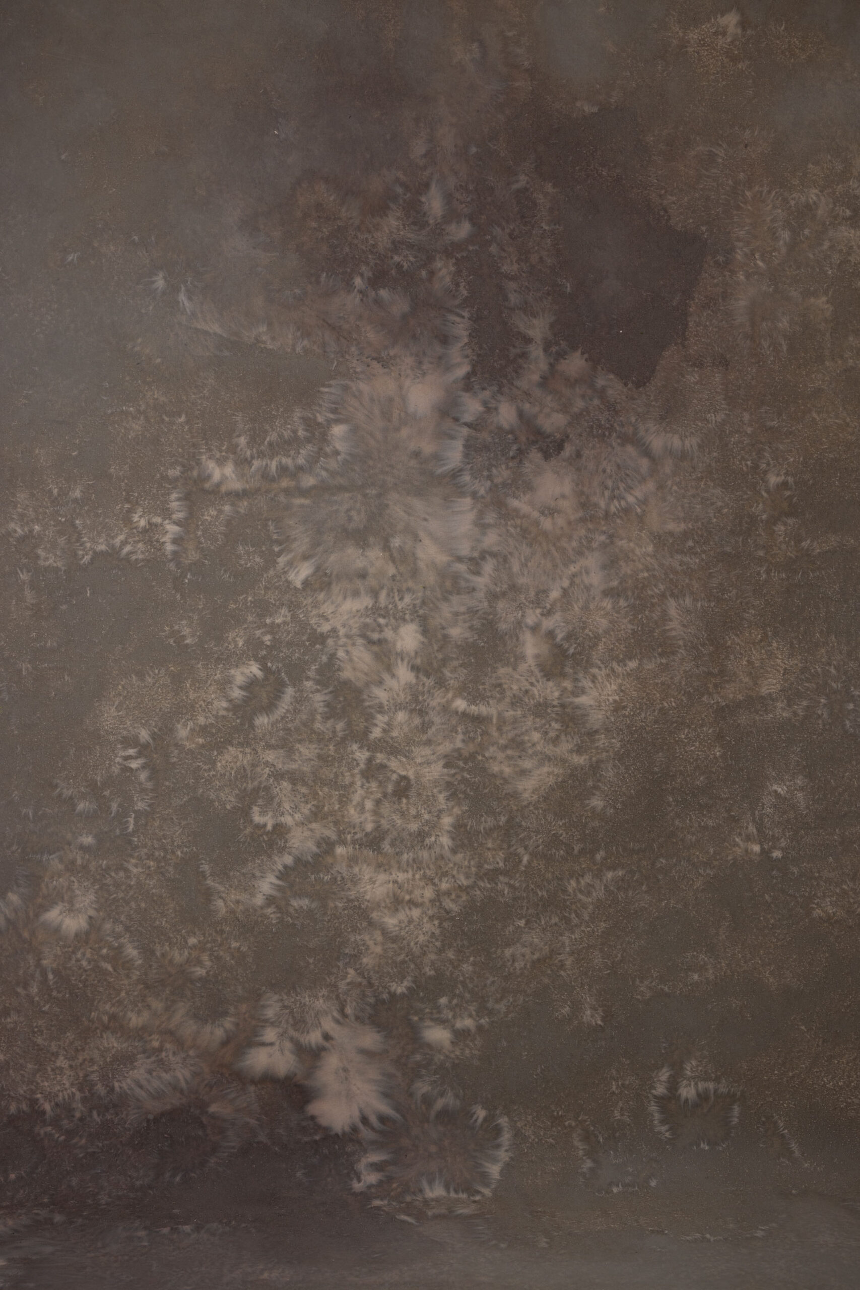Gidi Coffee Painted Canvas Backdrop (RN#286) view 5