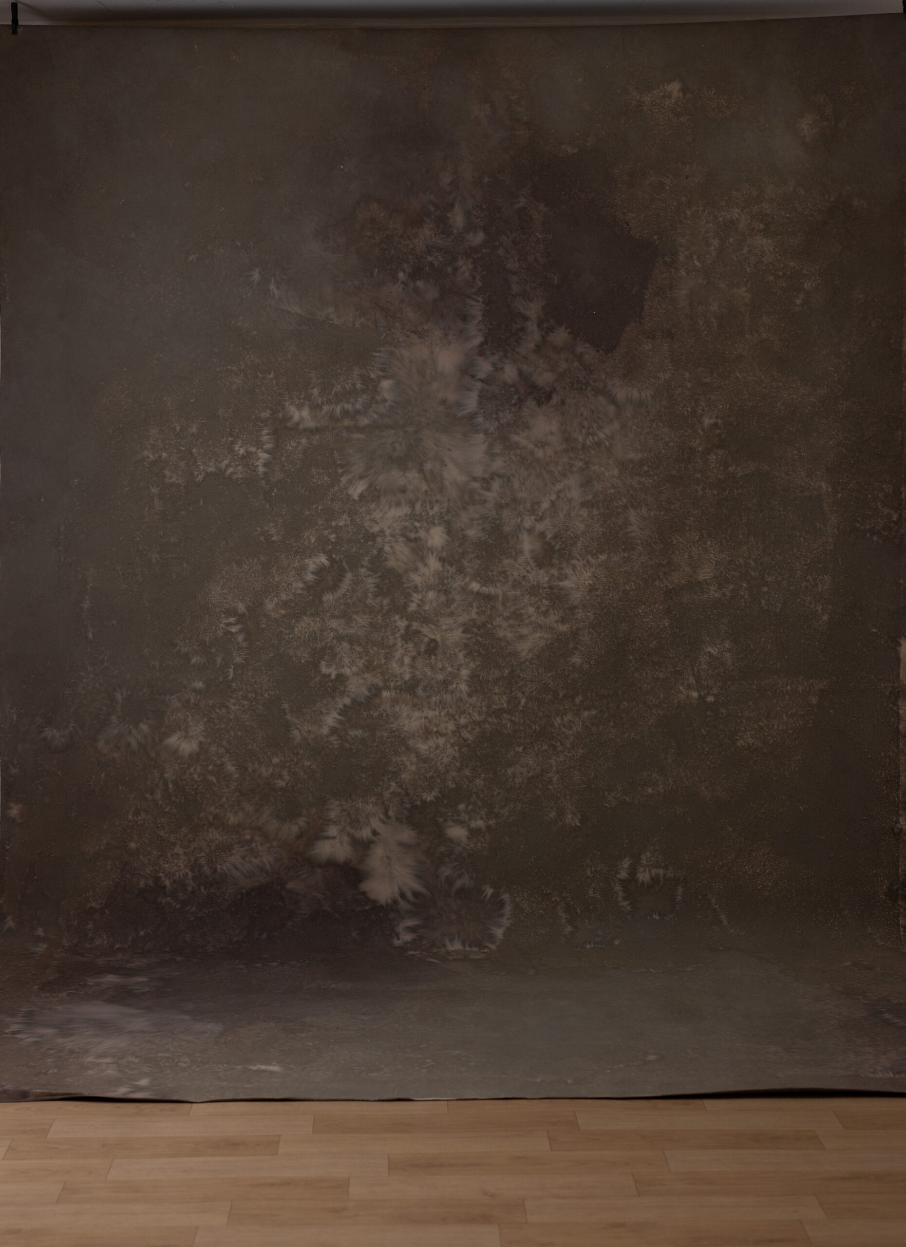 Gidi Coffee Painted Canvas Backdrop (RN#286) view 6