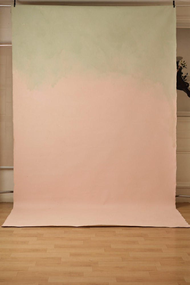 Clam Shell Painted Canvas Backdrop (RN#302) view 2
