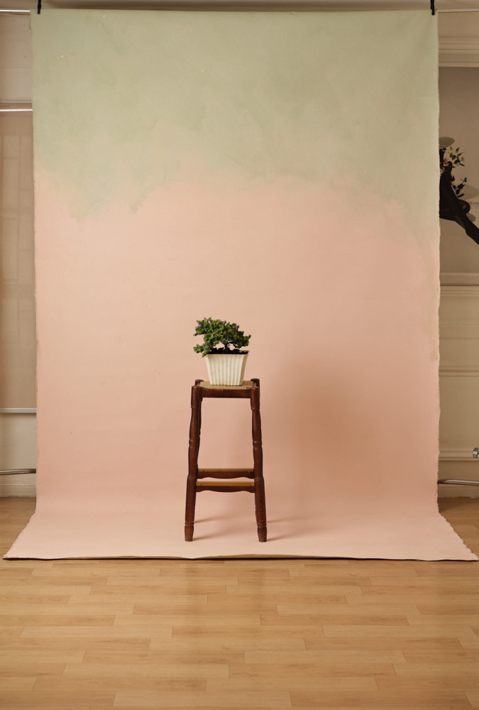 Clam Shell Painted Canvas Backdrop (RN#302) view 3
