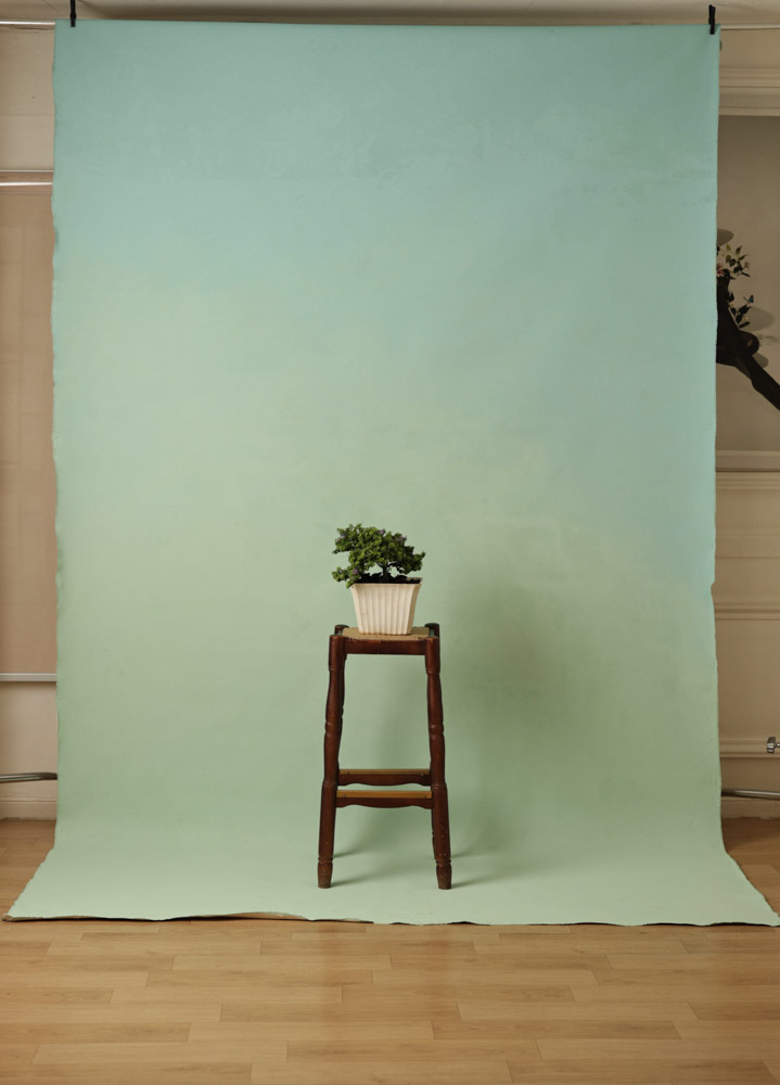 Sweet Mint Painted Canvas Backdrop (RN#304) view 3