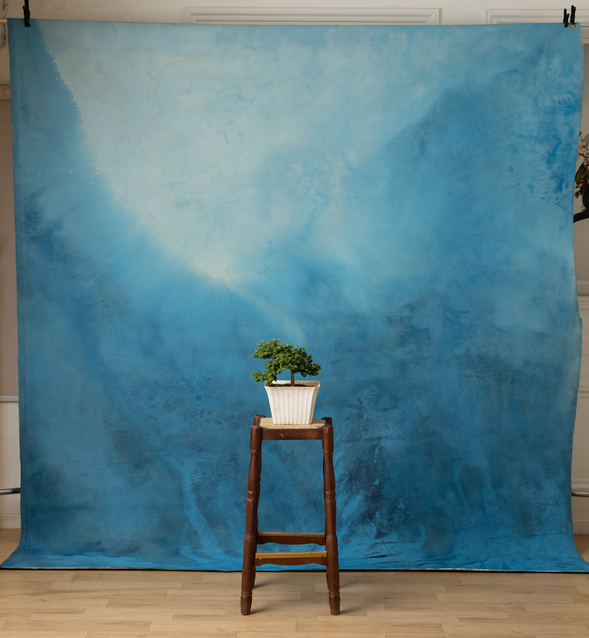 Blue Dianne Painted Canvas Backdrop (RN#268) view 3