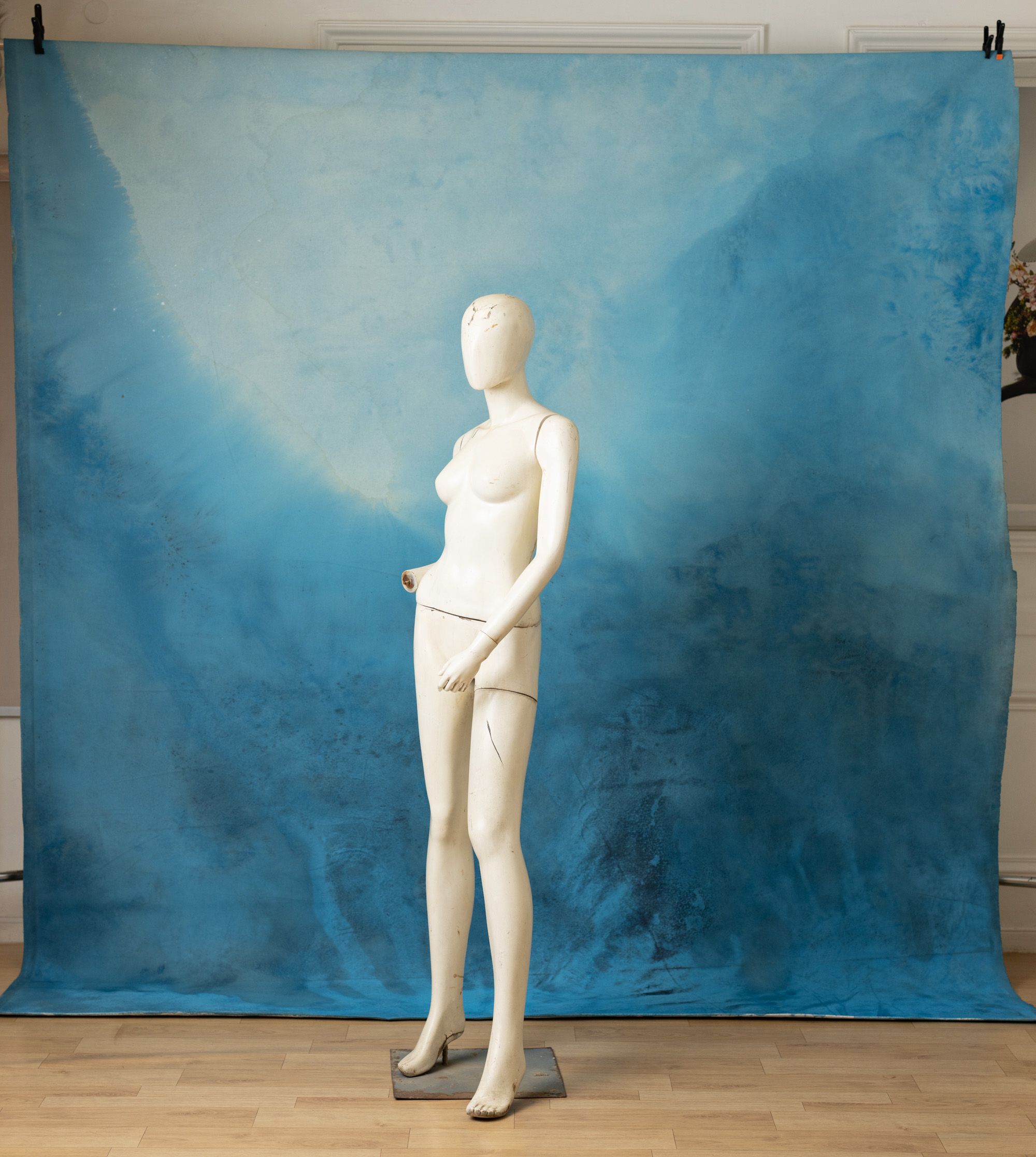 Blue Dianne Painted Canvas Backdrop (RN#268) view 4