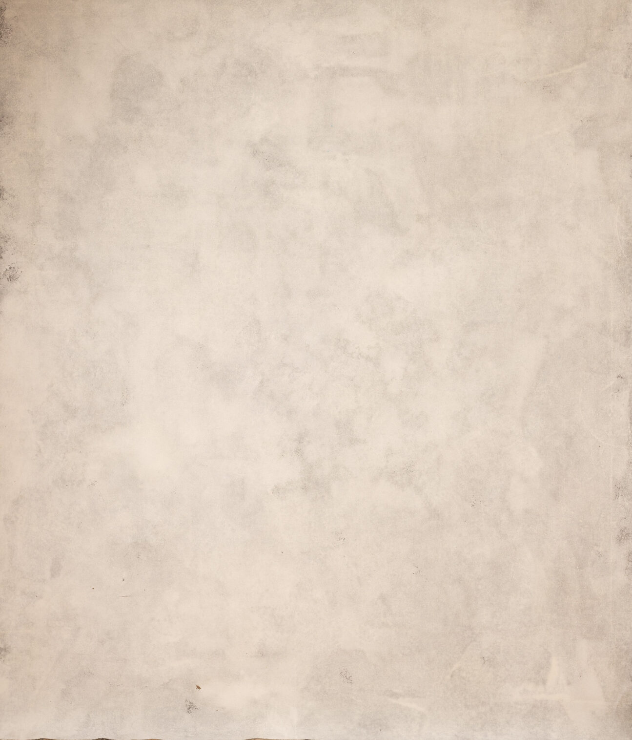 Bone white Painted Canvas Backdrop (RN#273)