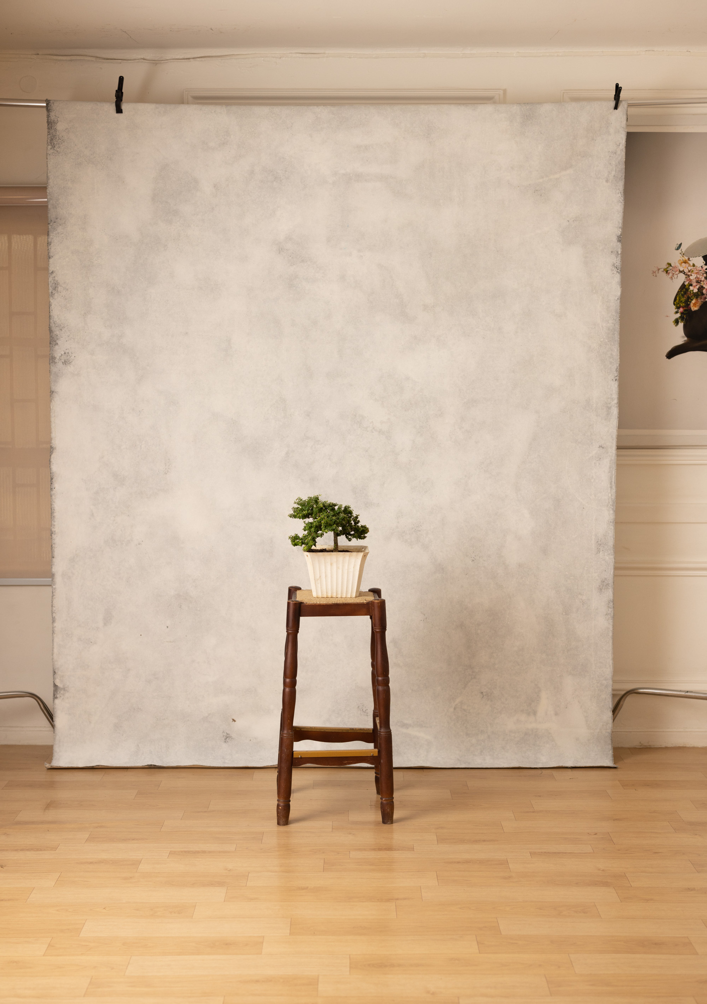 Bone white Painted Canvas Backdrop (RN#273) view 2
