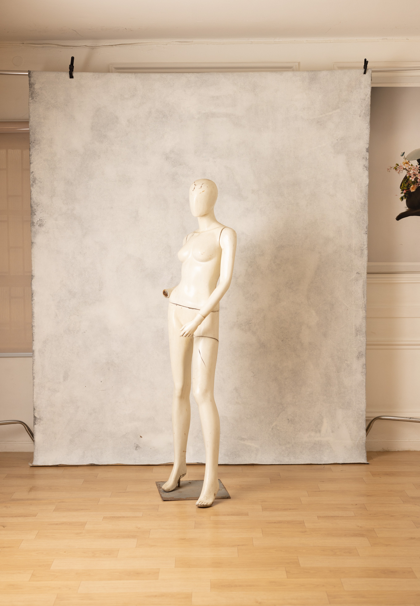 Bone white Painted Canvas Backdrop (RN#273) view 4