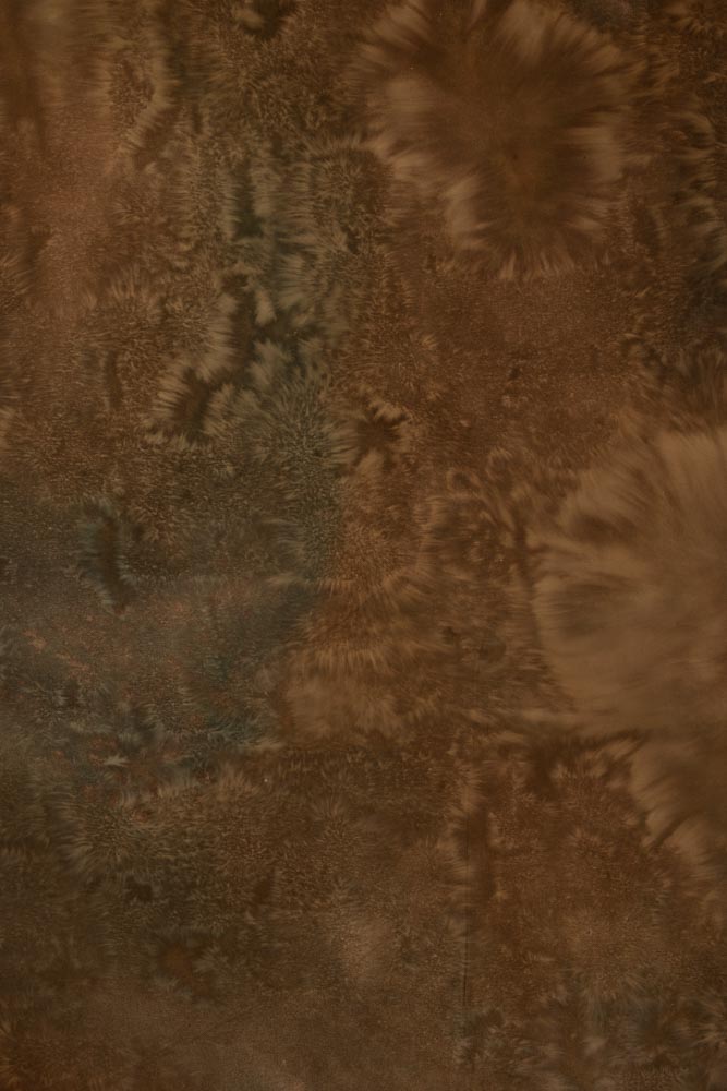 Expresso Painted Canvas Backdrop (RN#279) view 2