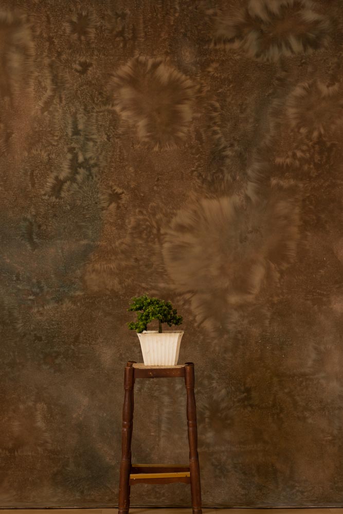 Expresso Painted Canvas Backdrop (RN#279) view 4