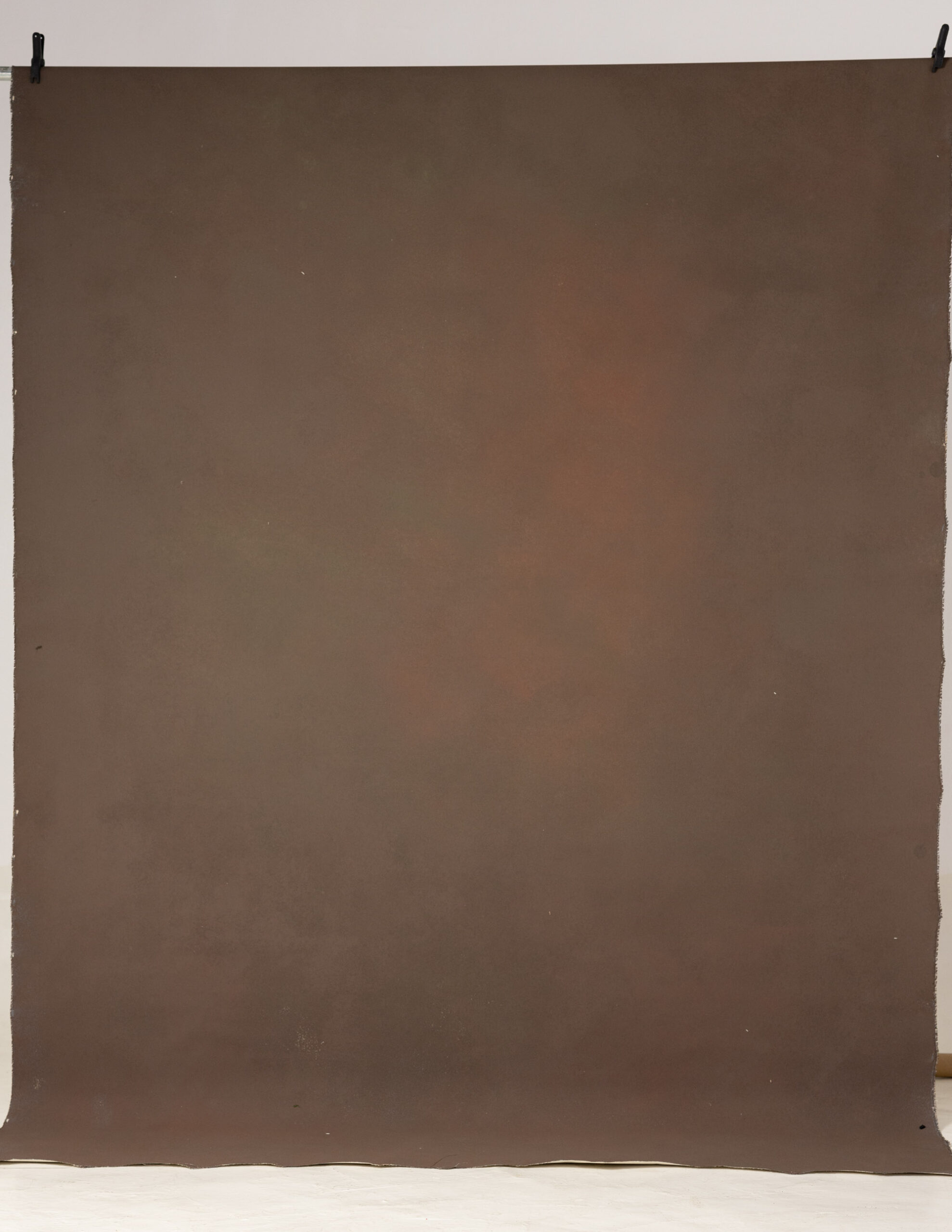 Brown Finch Painted Canvas Backdrop (RN#242) view 2