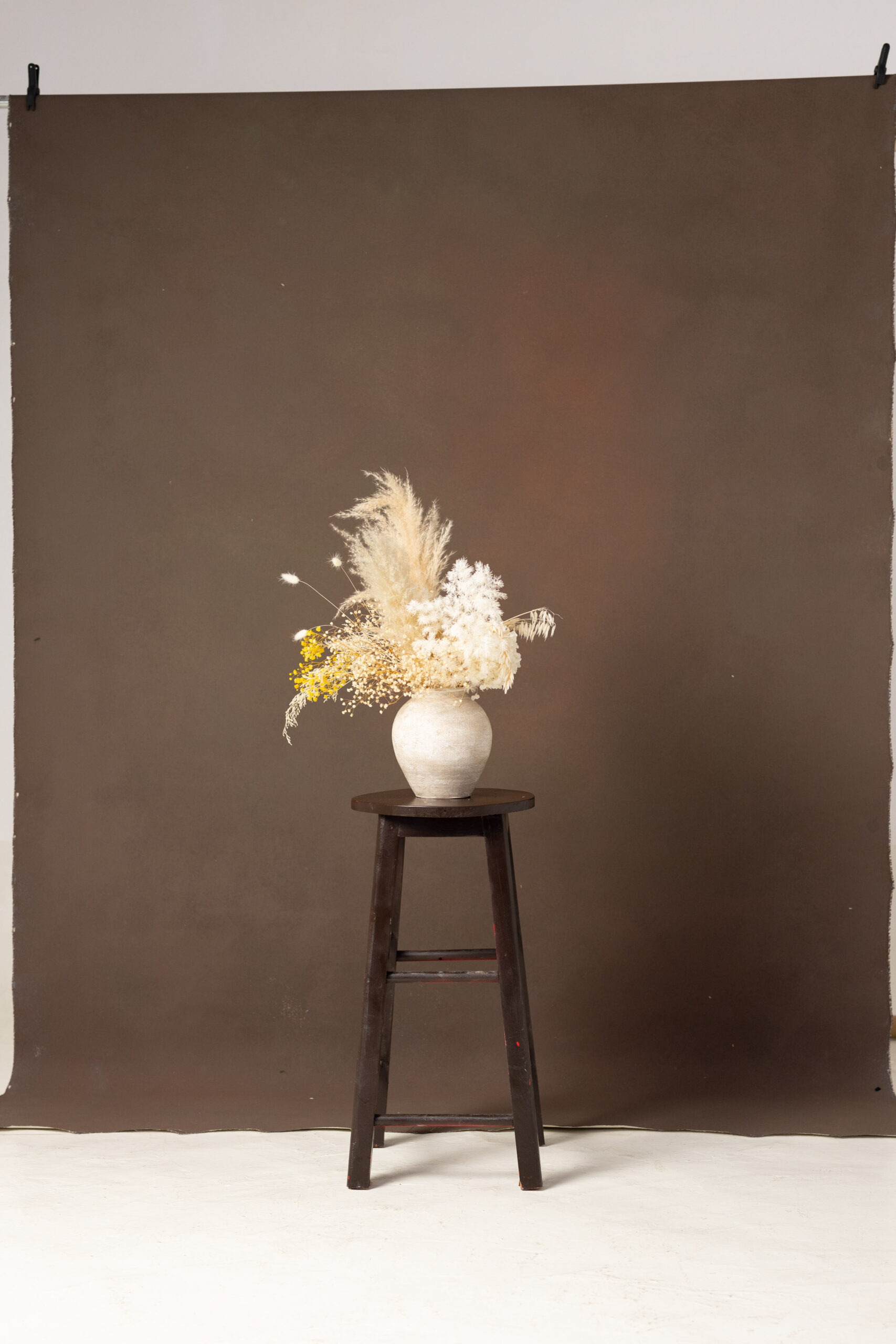 Brown Finch Painted Canvas Backdrop (RN#242) view 4