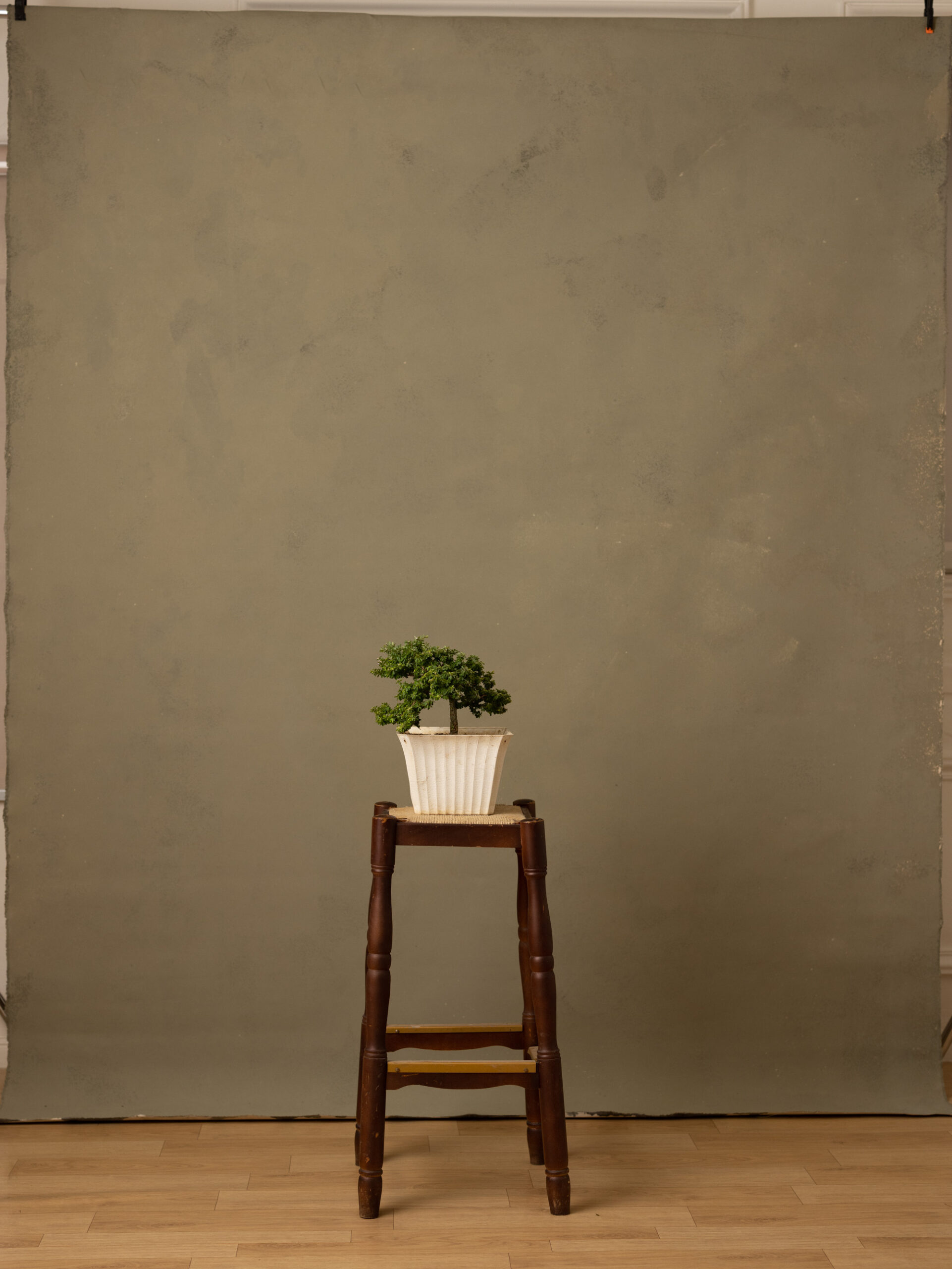 Clay Light Painted Canvas Backdrop (SL#265) view 4