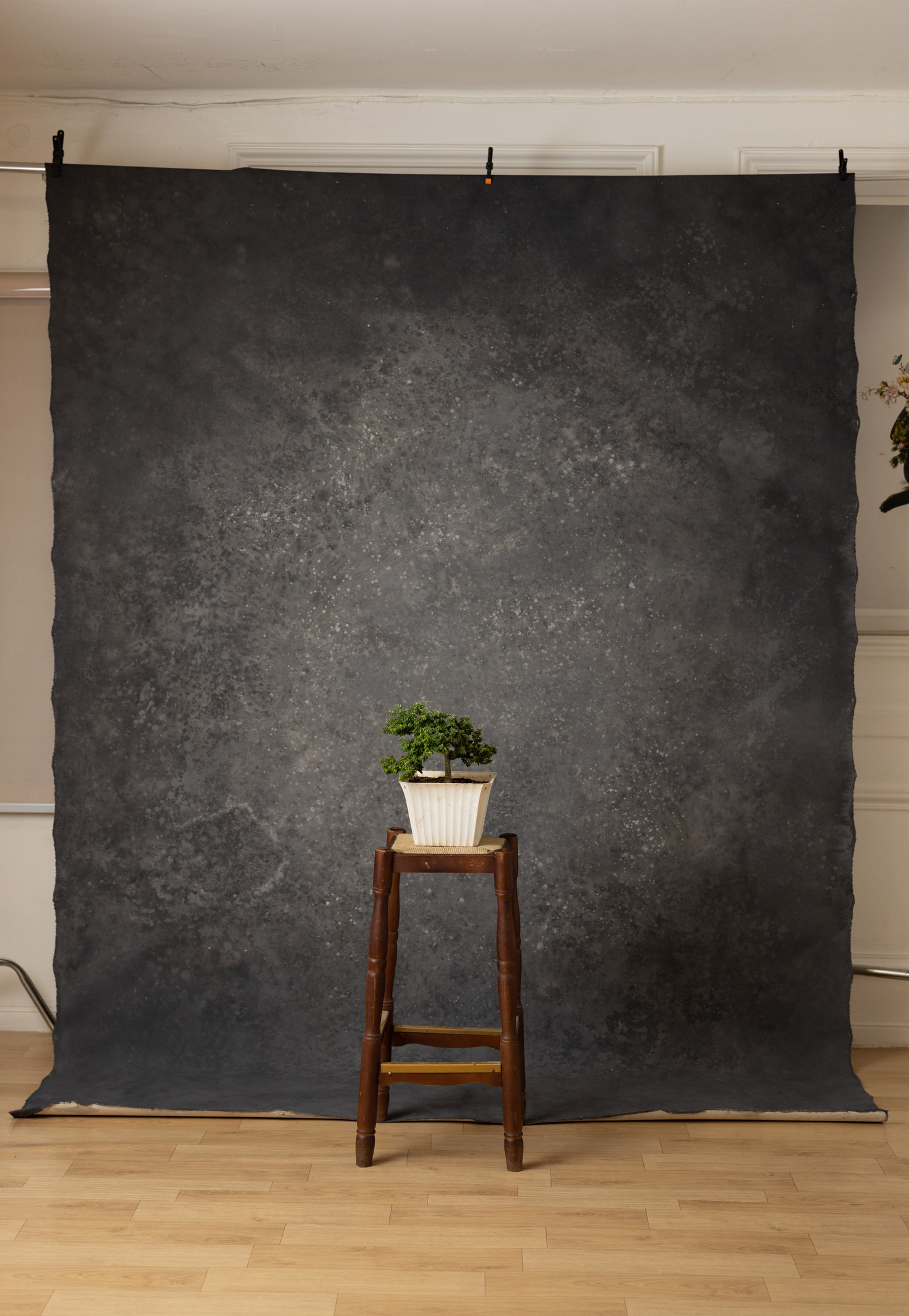 Ironside  Painted Canvas Backdrop (RN#271) view 4