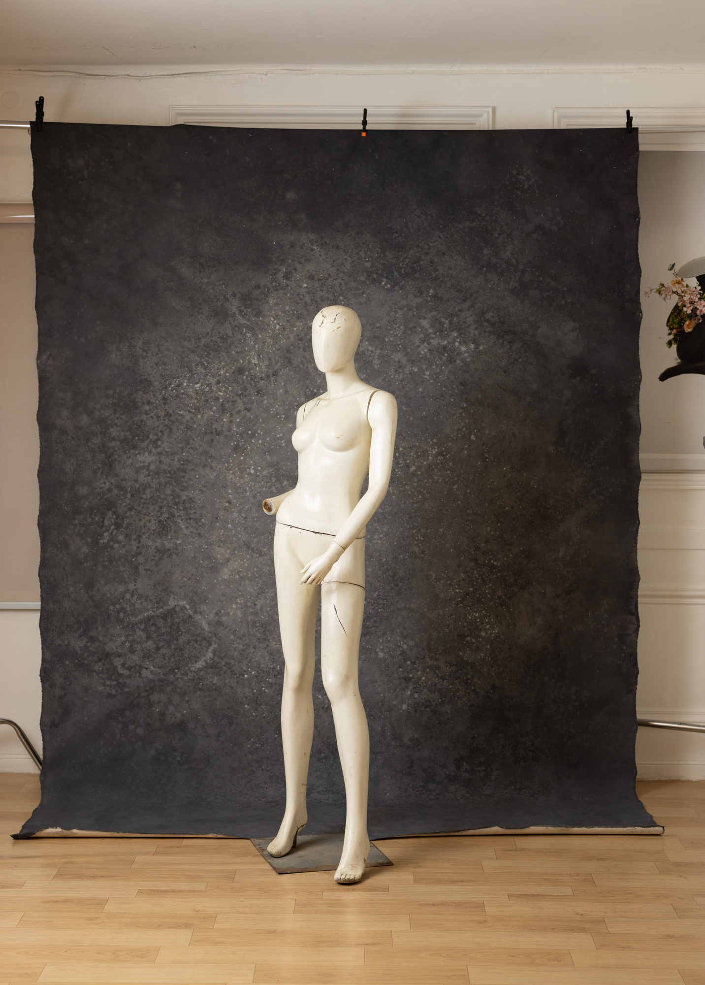 Ironside  Painted Canvas Backdrop (RN#271) view 5