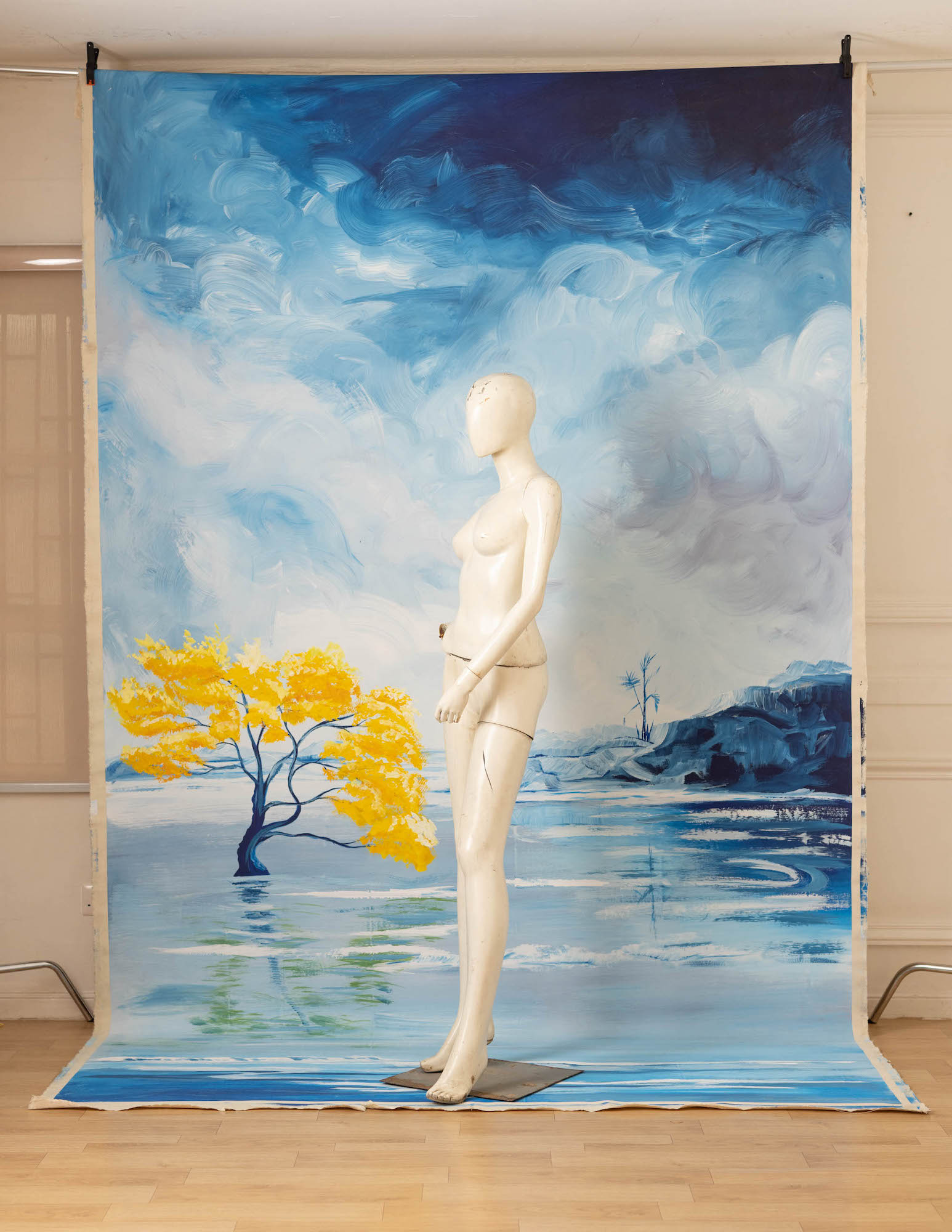 Arctic Meadow Painted Canvas Backdrop (RN#263) view 3