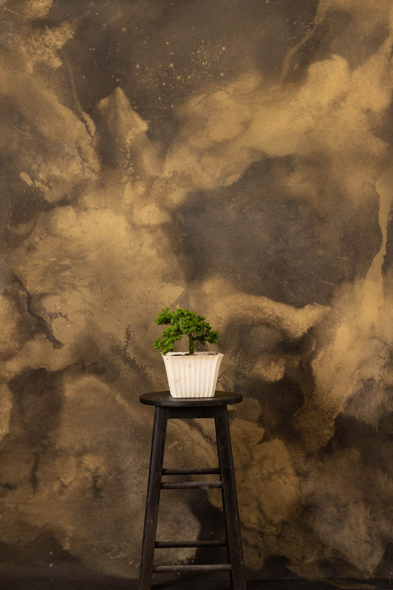 Yellow Metal Painted Canvas Backdrop (RN#258) view 3