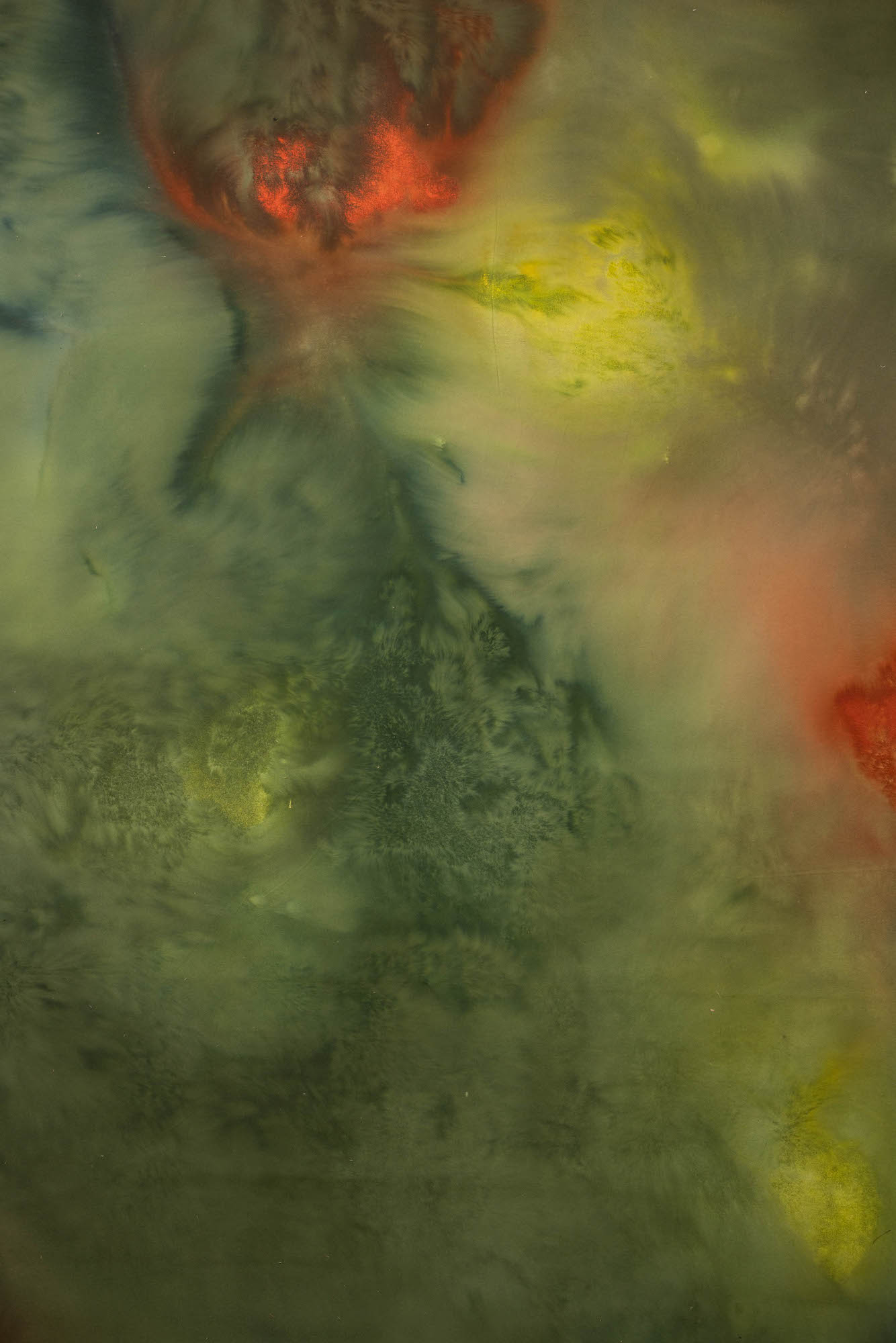 Swamp Painted Canvas Backdrop (RN#257)