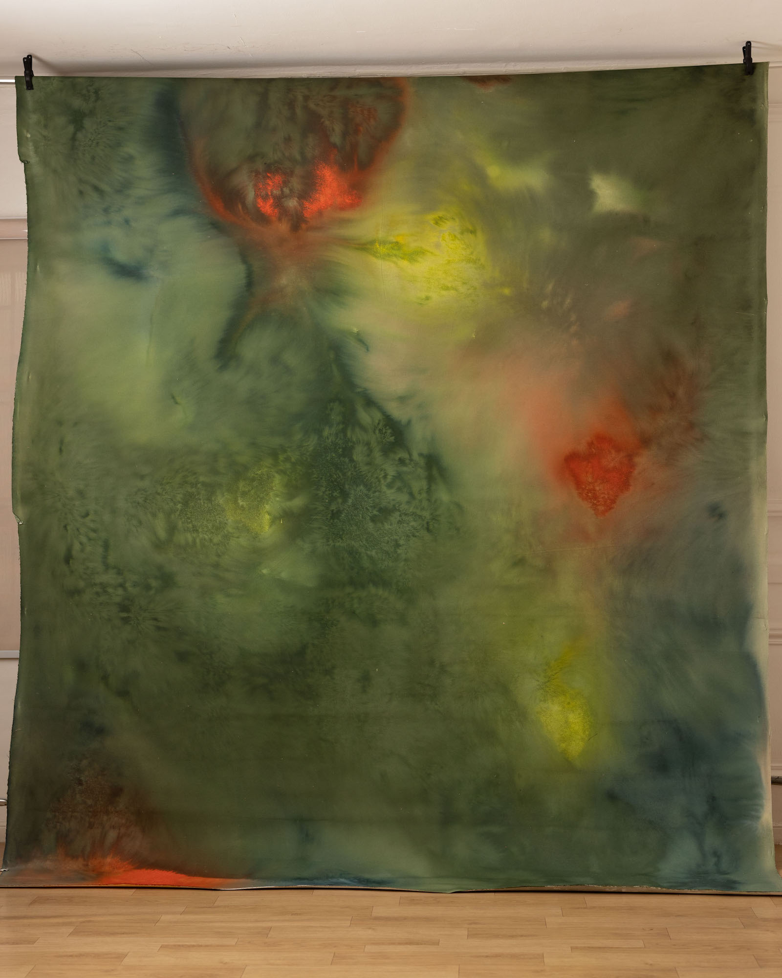 Swamp Painted Canvas Backdrop (RN#257) view 2
