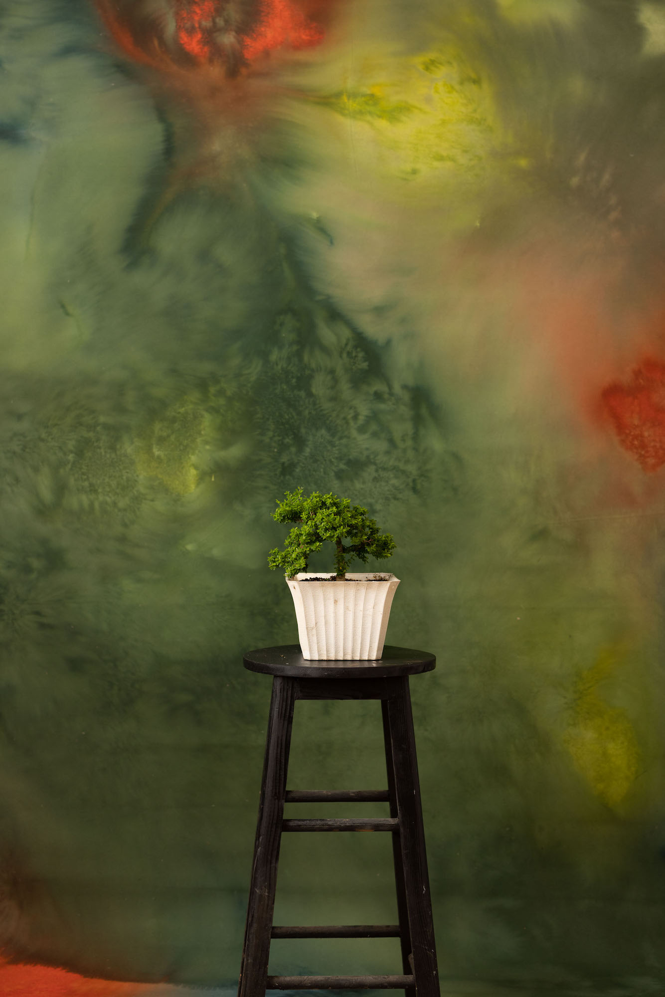 Swamp Painted Canvas Backdrop (RN#257) view 3