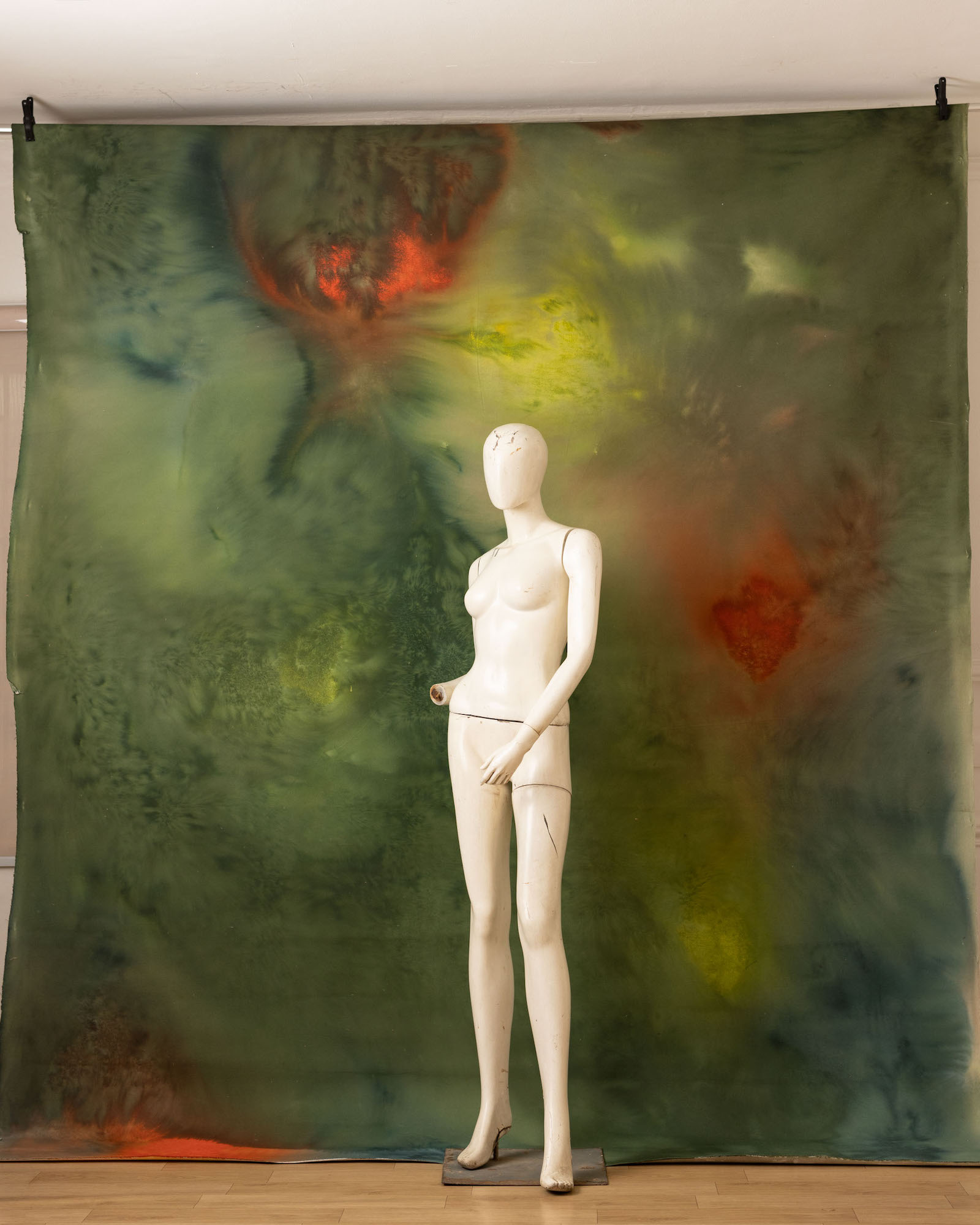 Swamp Painted Canvas Backdrop (RN#257) view 4