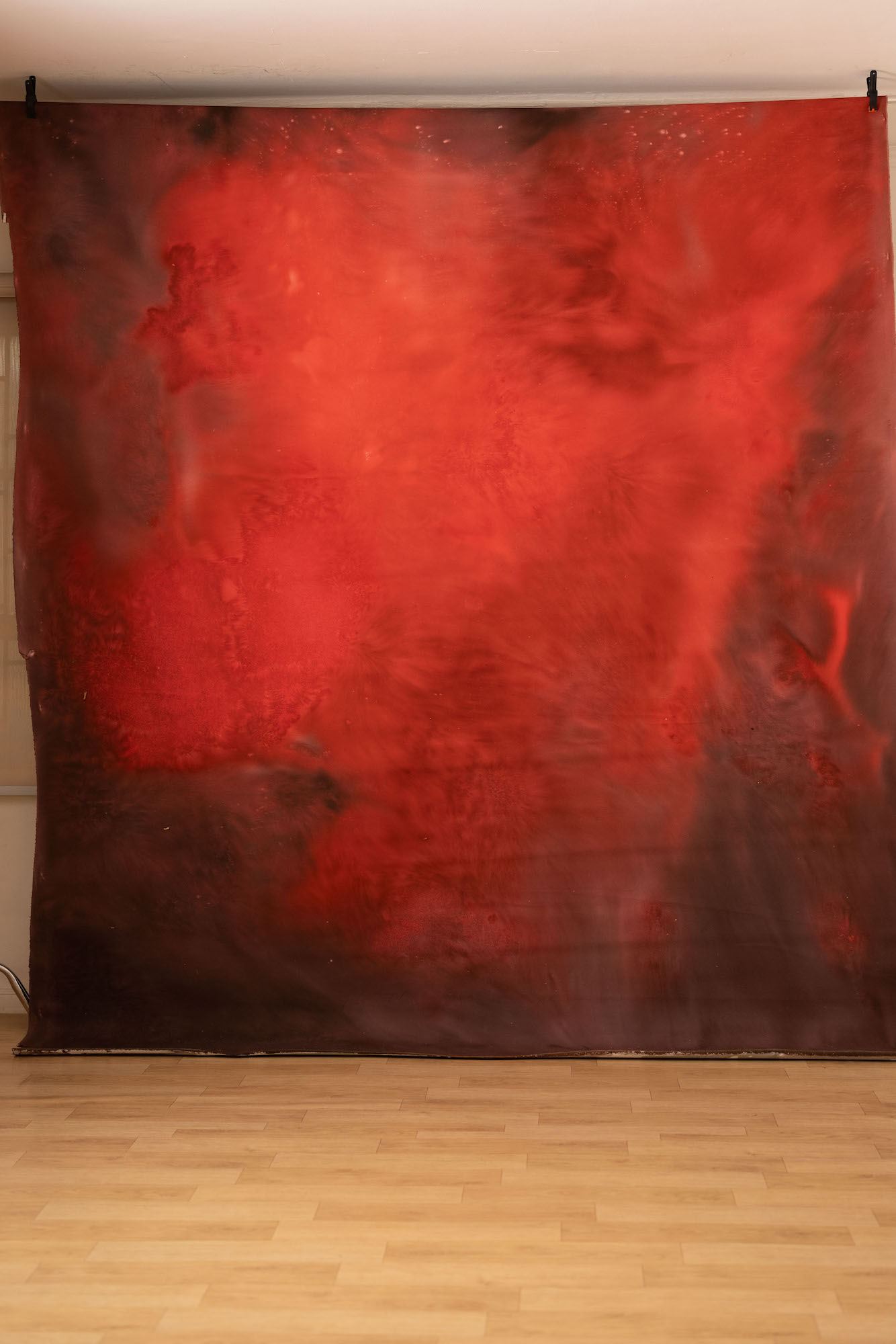 Persian Red Painted Canvas Backdrop (RN#253) view 2