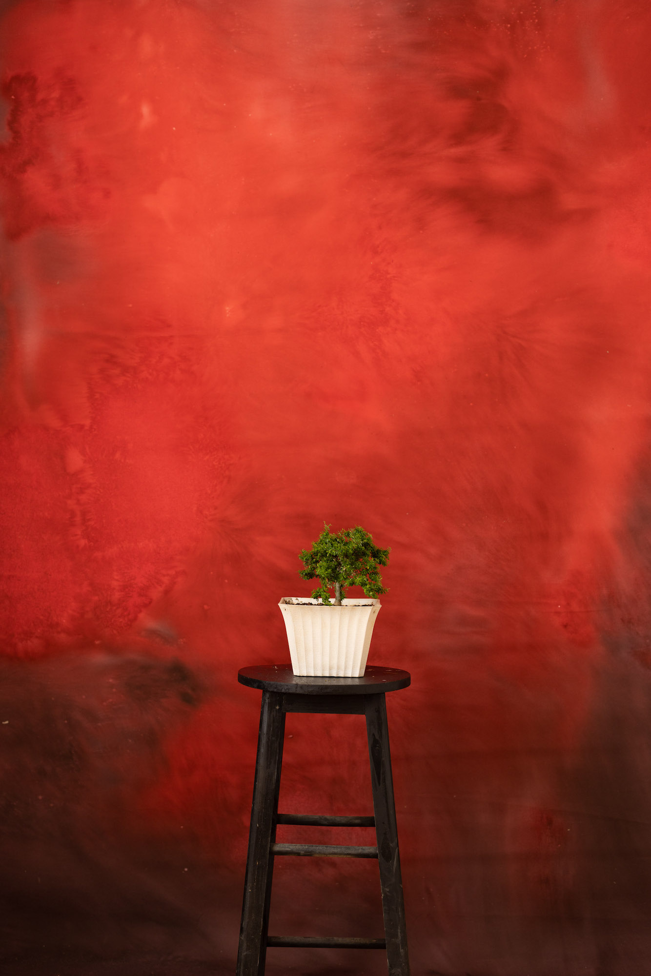 Persian Red Painted Canvas Backdrop (RN#253) view 3