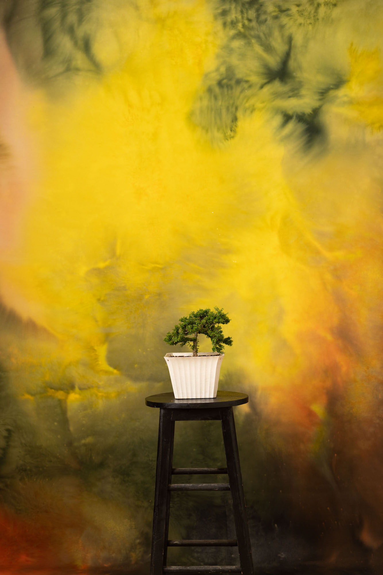 Alpine Painted Canvas Backdrop (RN#254) view 3