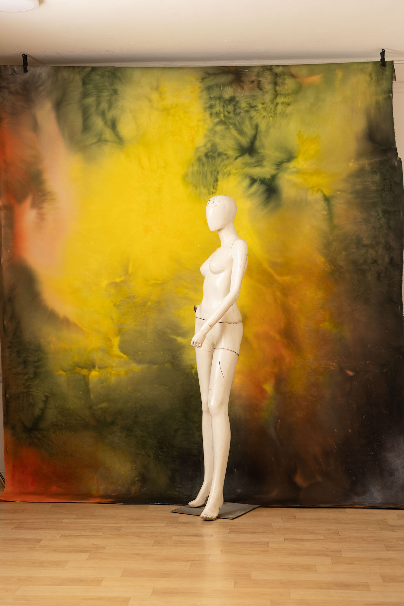 Alpine Painted Canvas Backdrop (RN#254) view 4