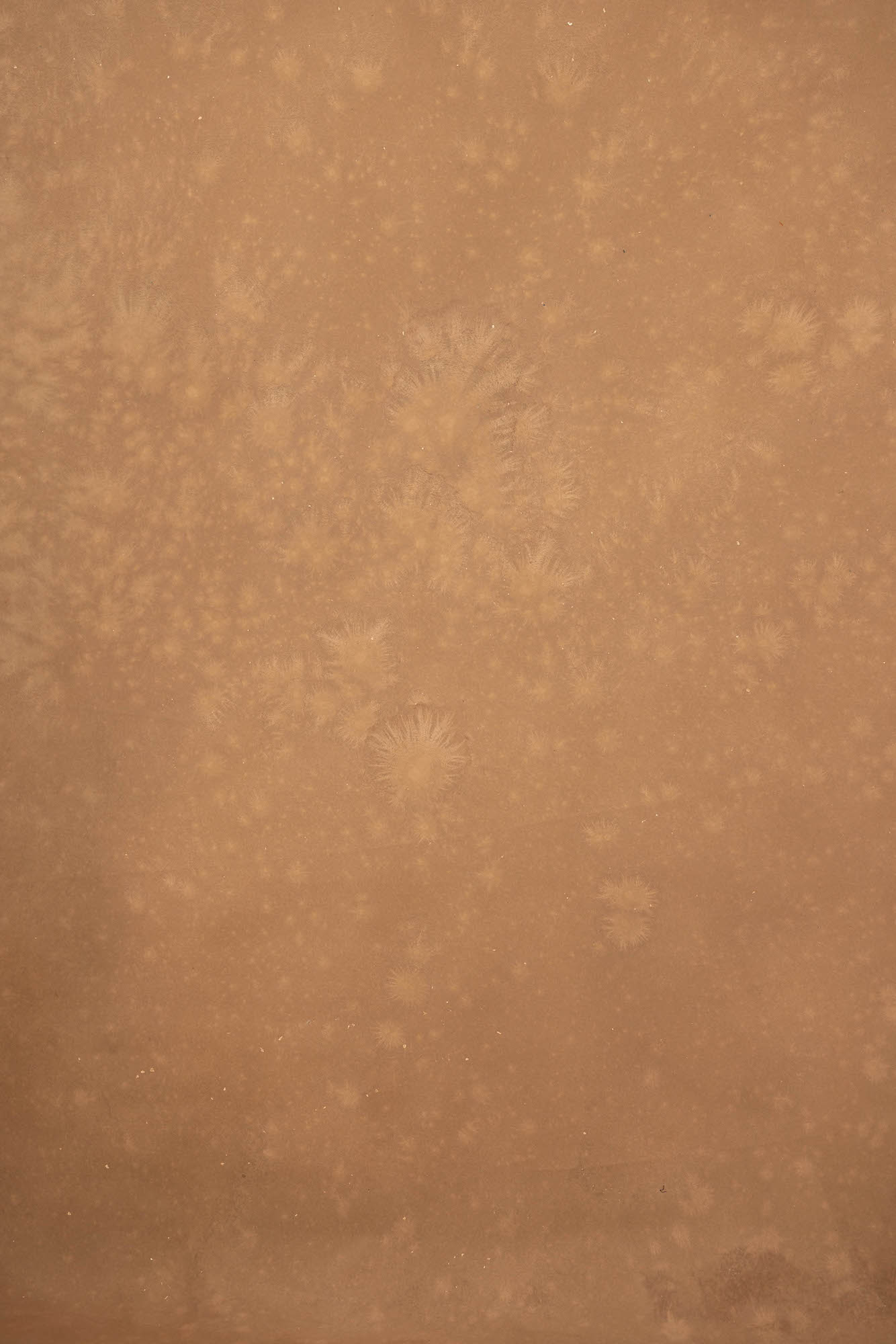 Bullet Shell Painted Canvas Backdrop (RN#250)