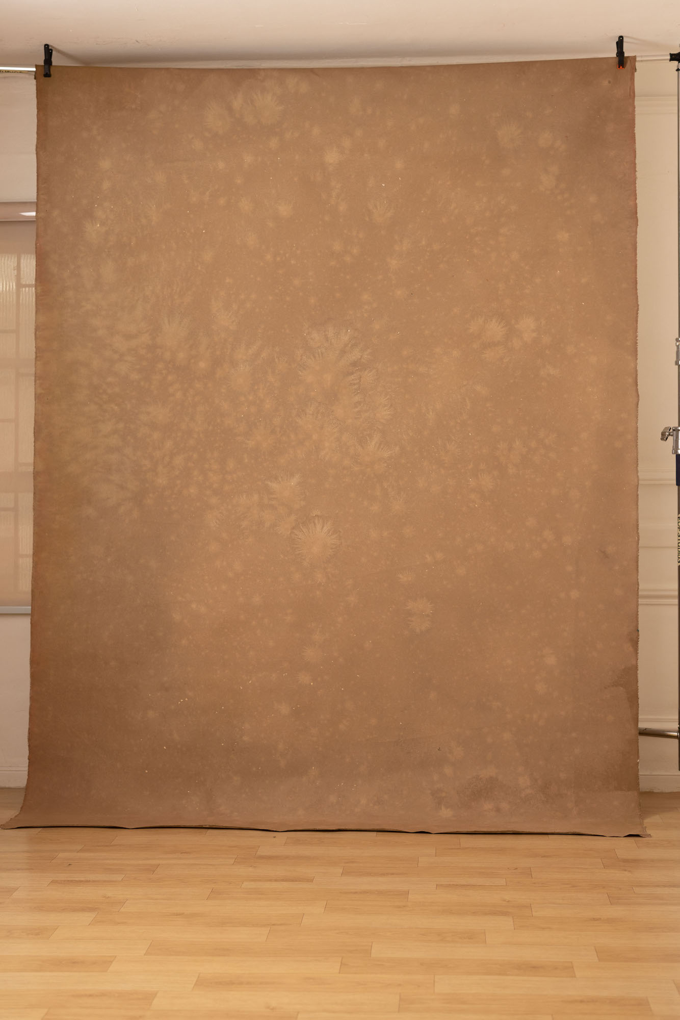 Bullet Shell Painted Canvas Backdrop (RN#250) view 2