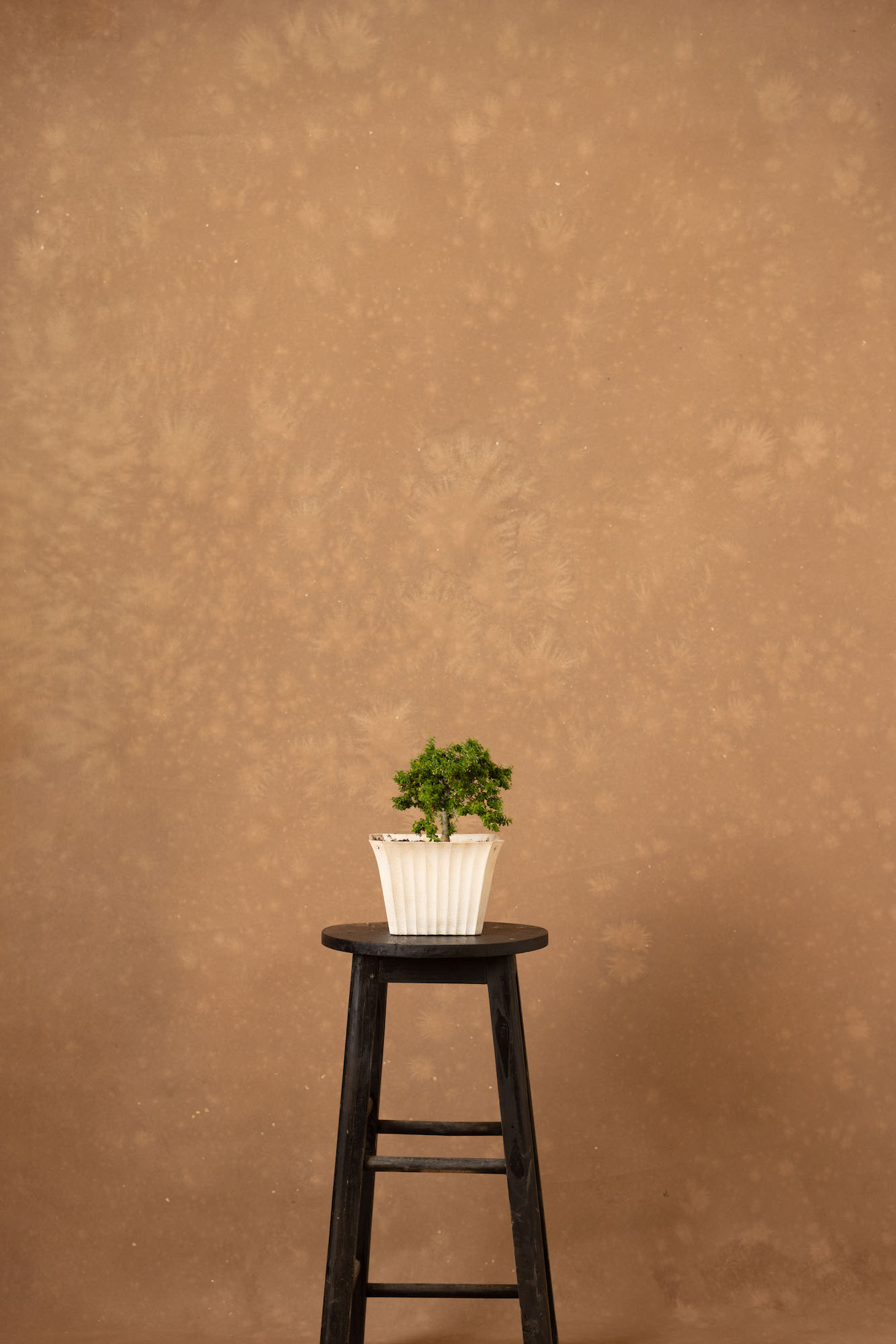 Bullet Shell Painted Canvas Backdrop (RN#250) view 3