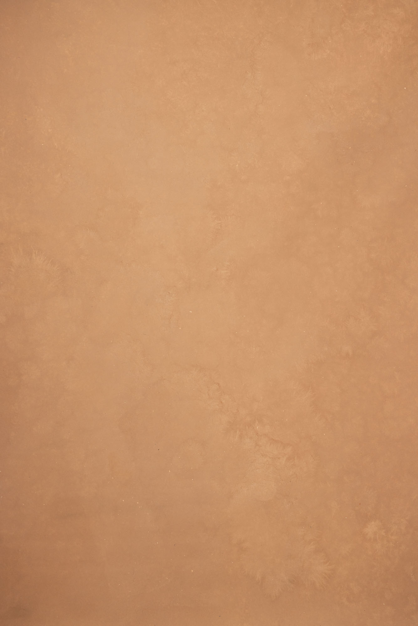 Brown Rust Painted Canvas Backdrop (RN#251)