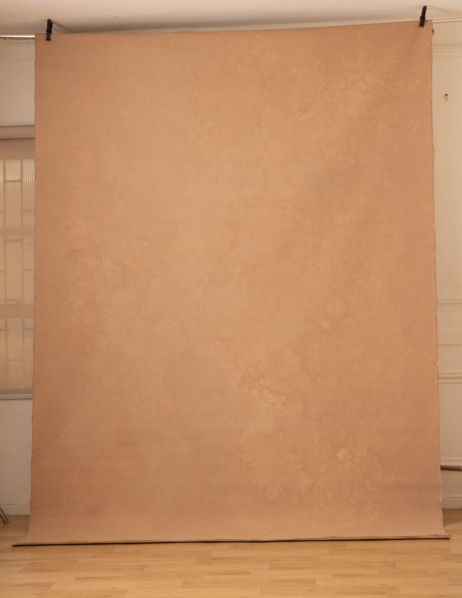 Brown Rust Painted Canvas Backdrop (RN#251) view 2